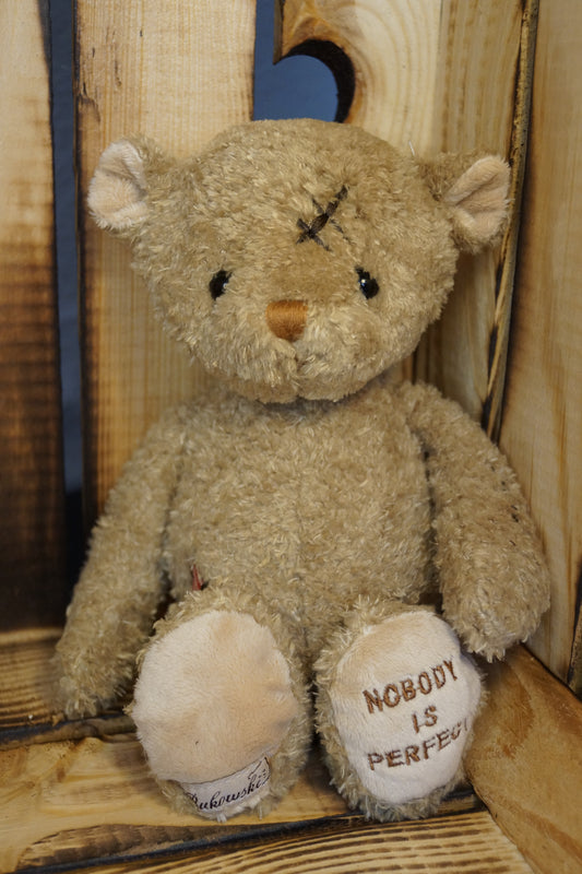 Teddy Nobody is Perfect