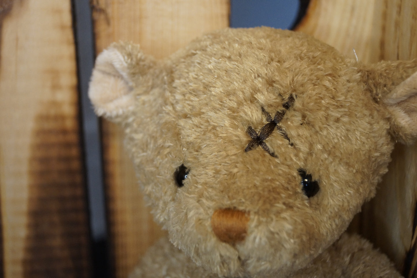 Teddy Nobody is Perfect