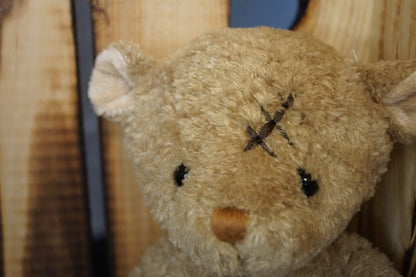 Teddy Nobody is Perfect
