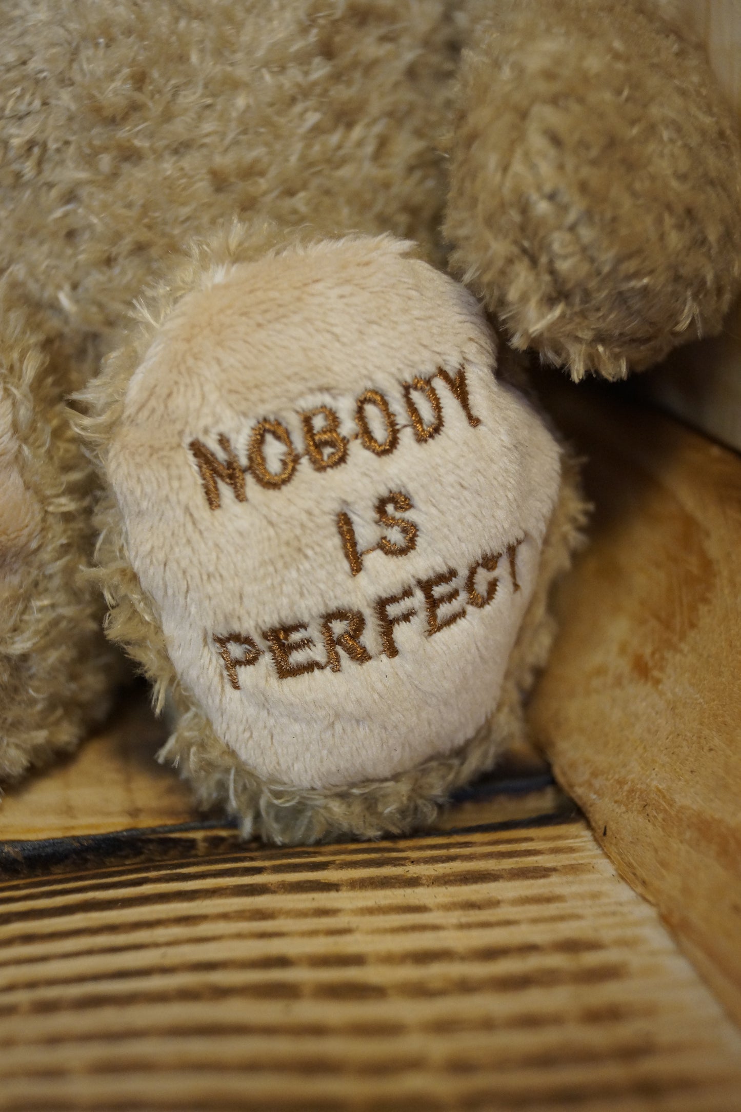 Teddy Nobody is Perfect
