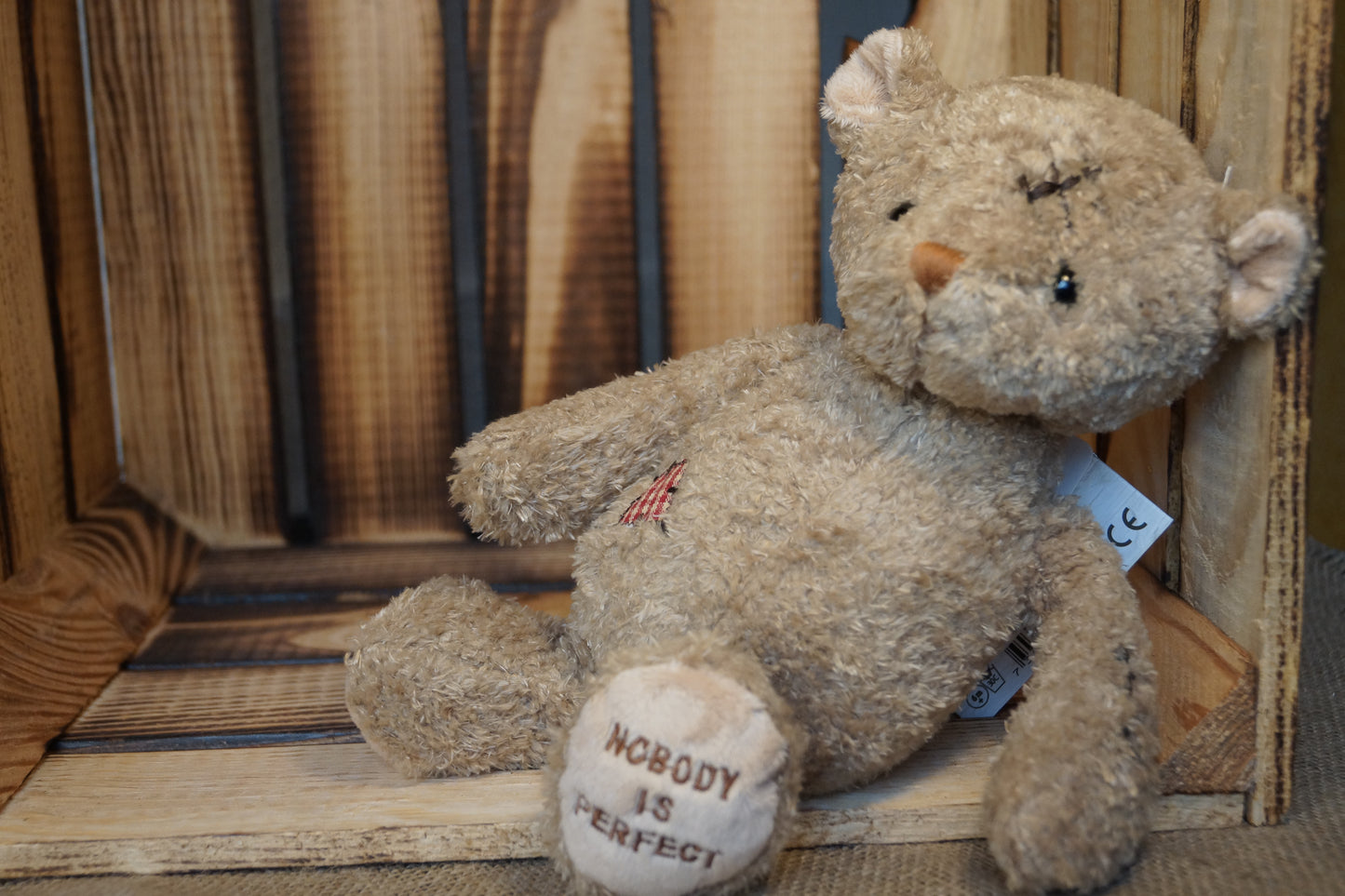 Teddy Nobody is Perfect