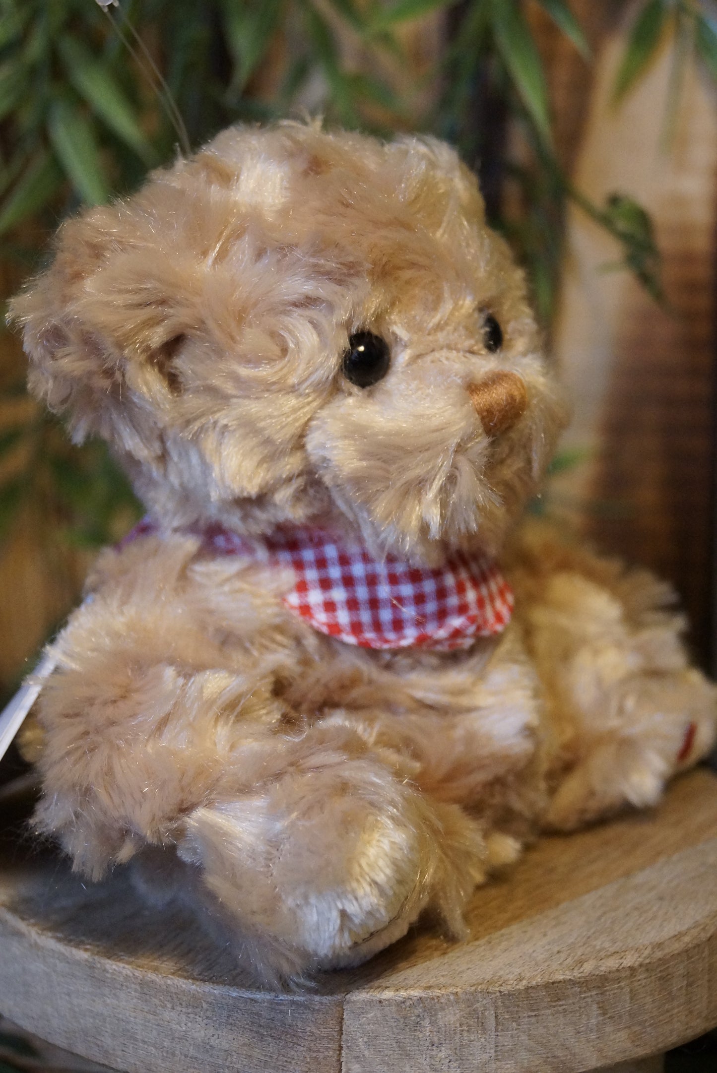 Bukowski Teddy "Herman"