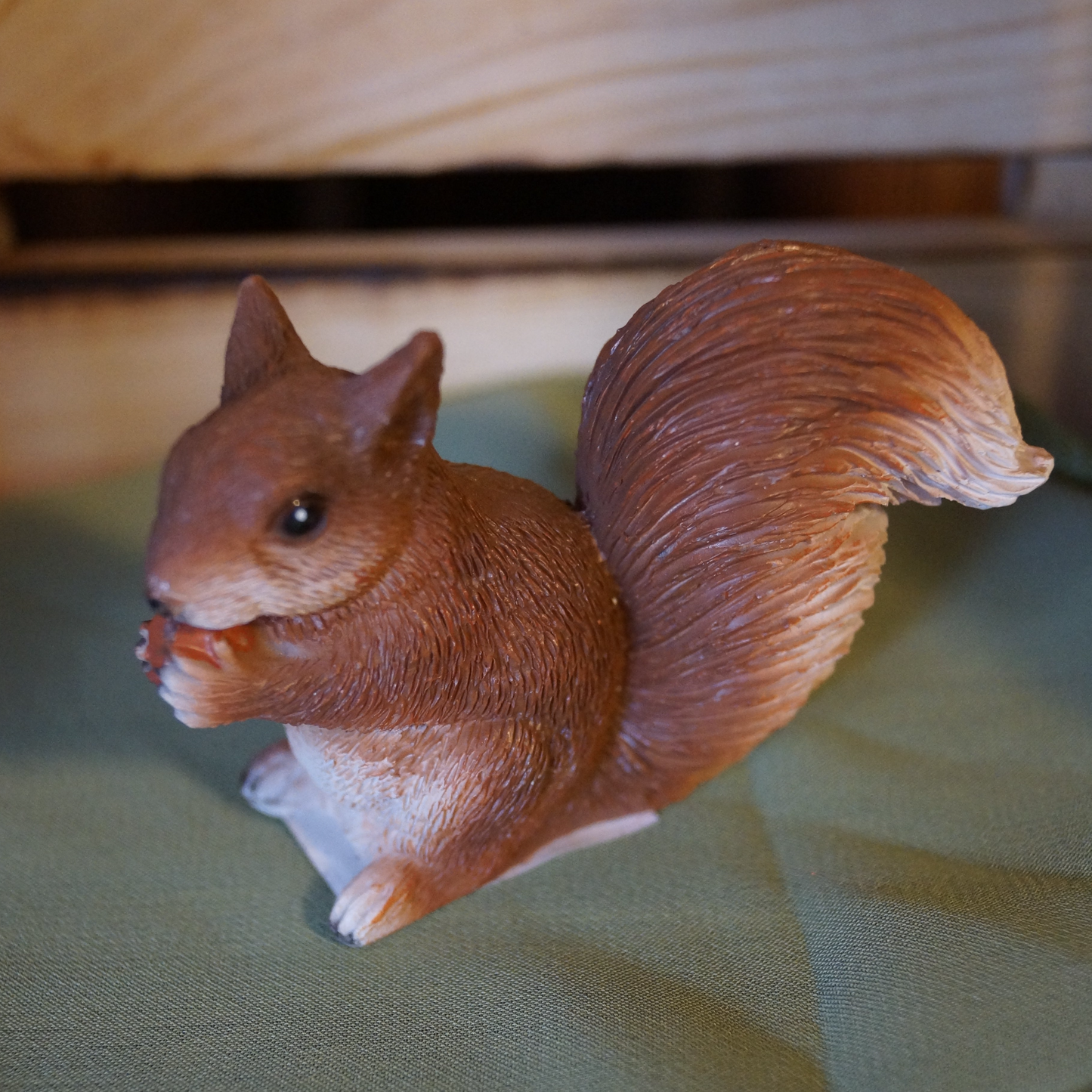 Eichhörnchen