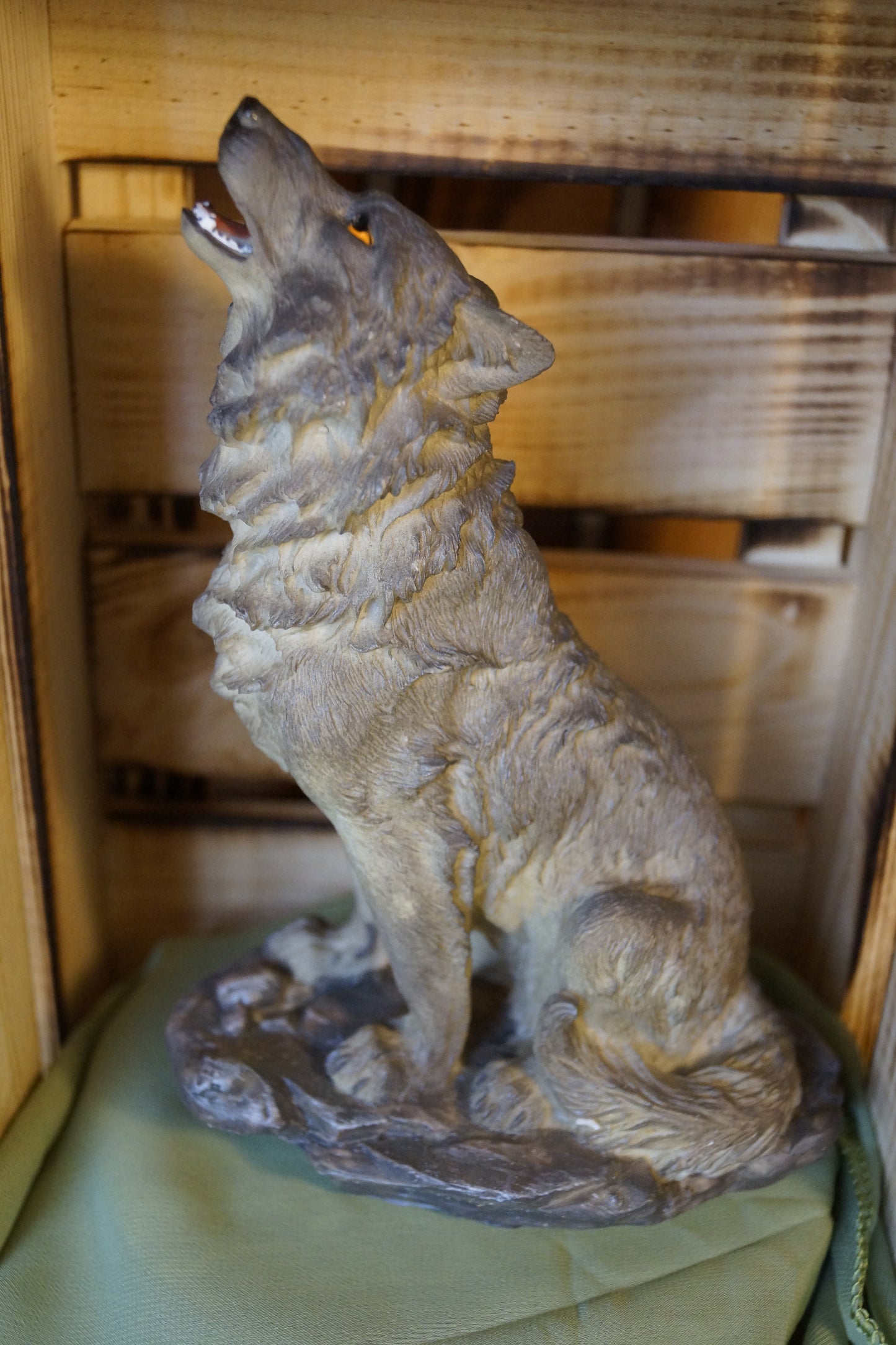 Wolf heulend grau