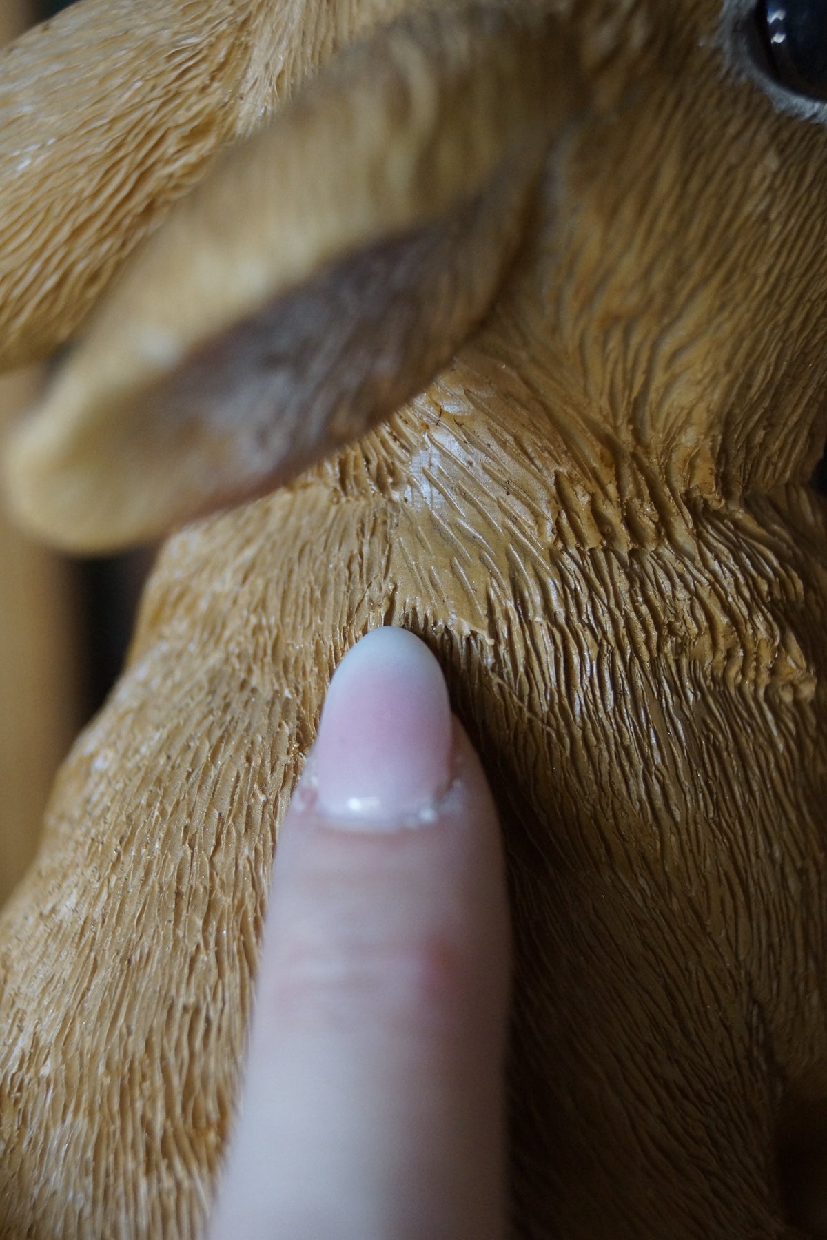 B-Ware Hasenkind