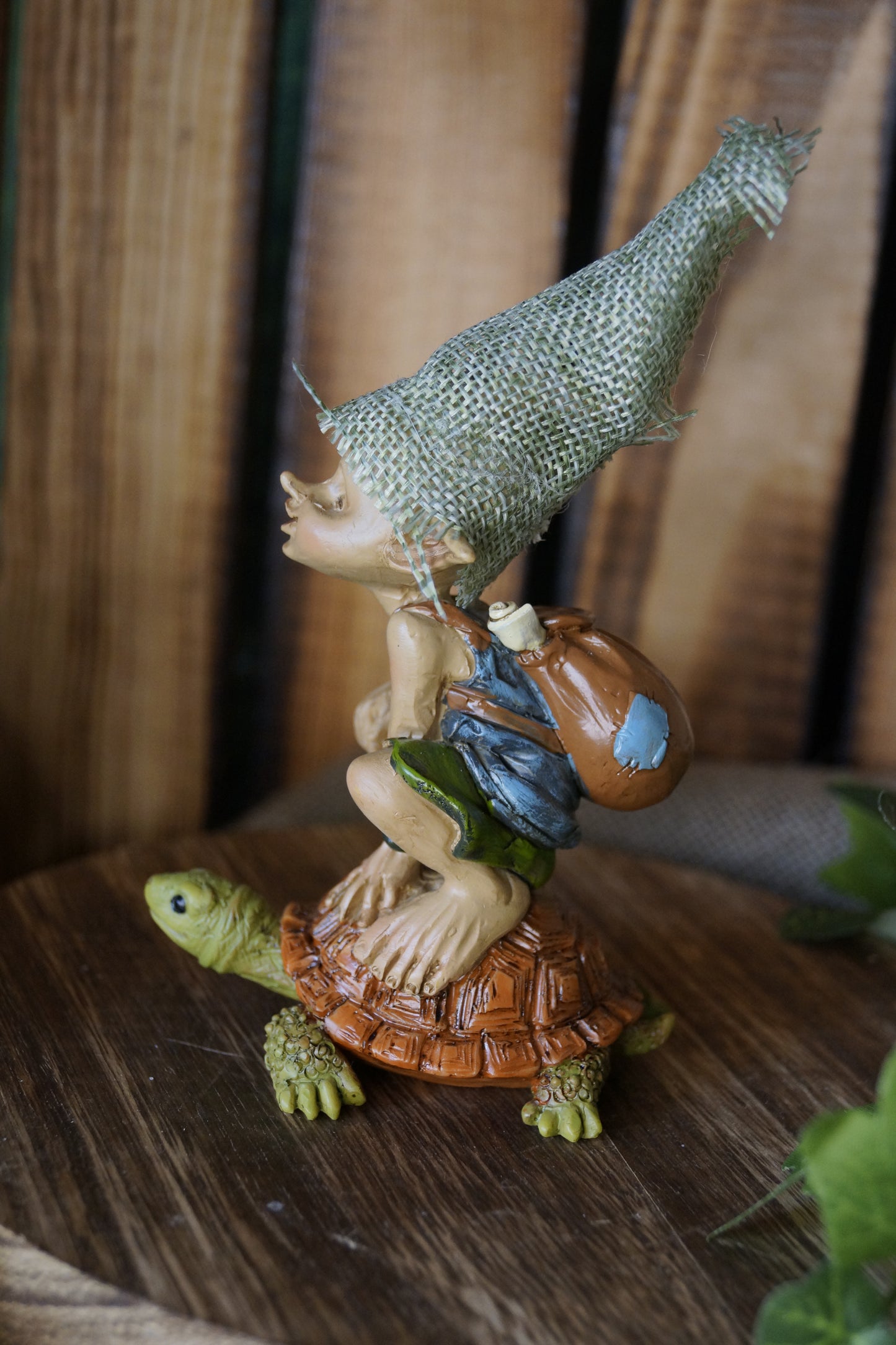 "Achtsam reisen" Pixie sitzt auf einer Schildkröte