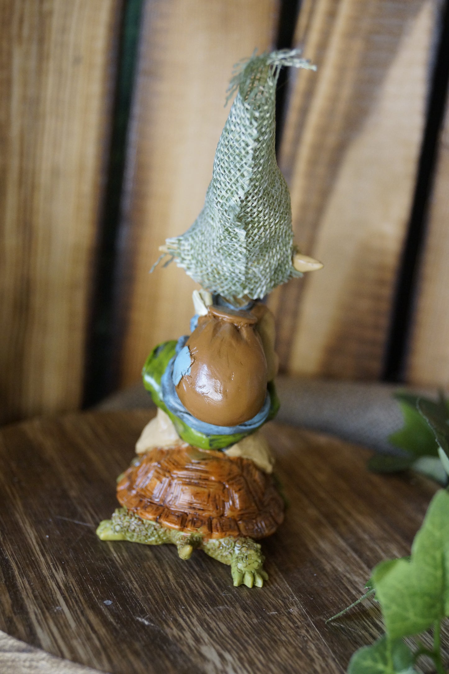 "Achtsam reisen" Pixie sitzt auf einer Schildkröte