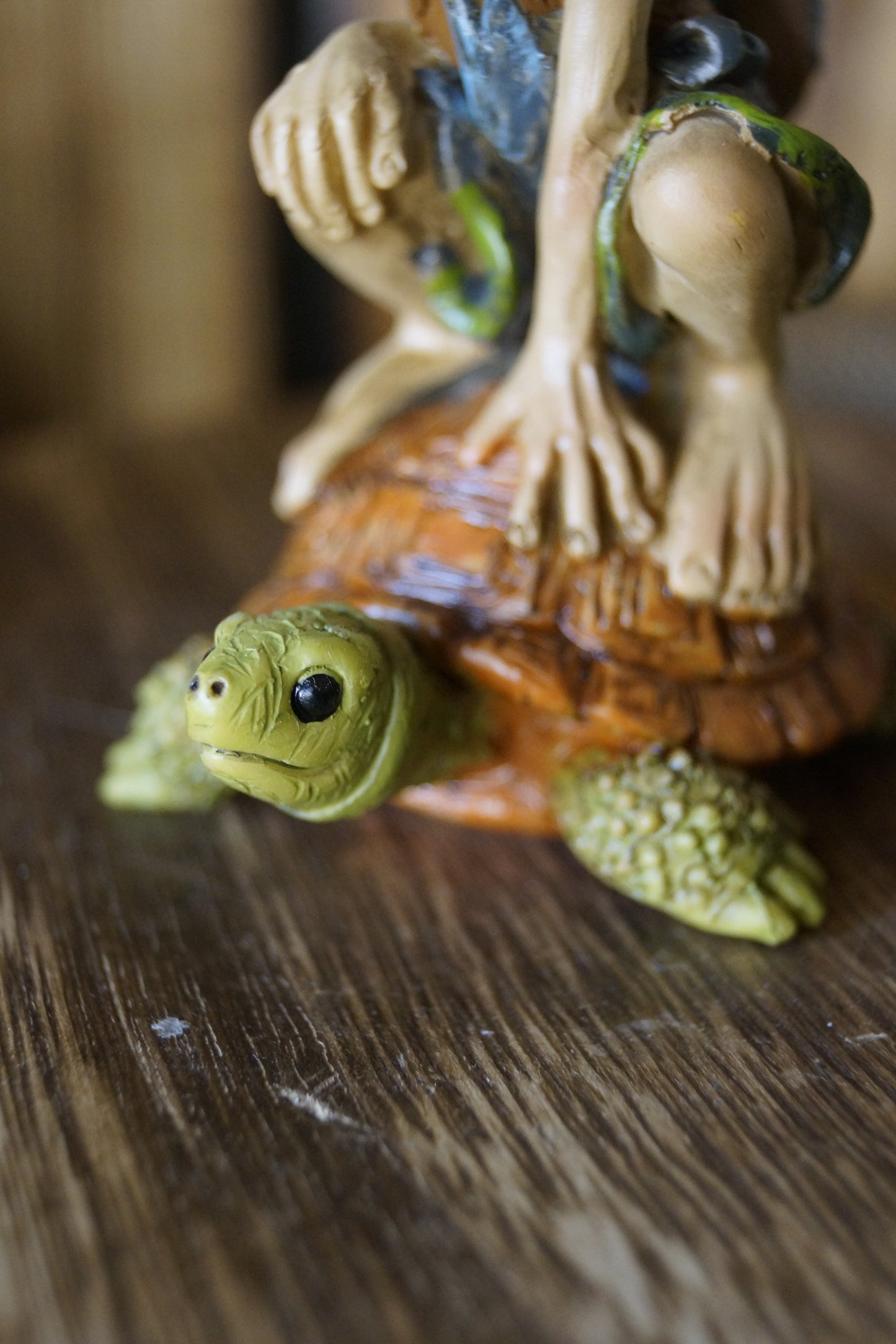 "Achtsam reisen" Pixie sitzt auf einer Schildkröte