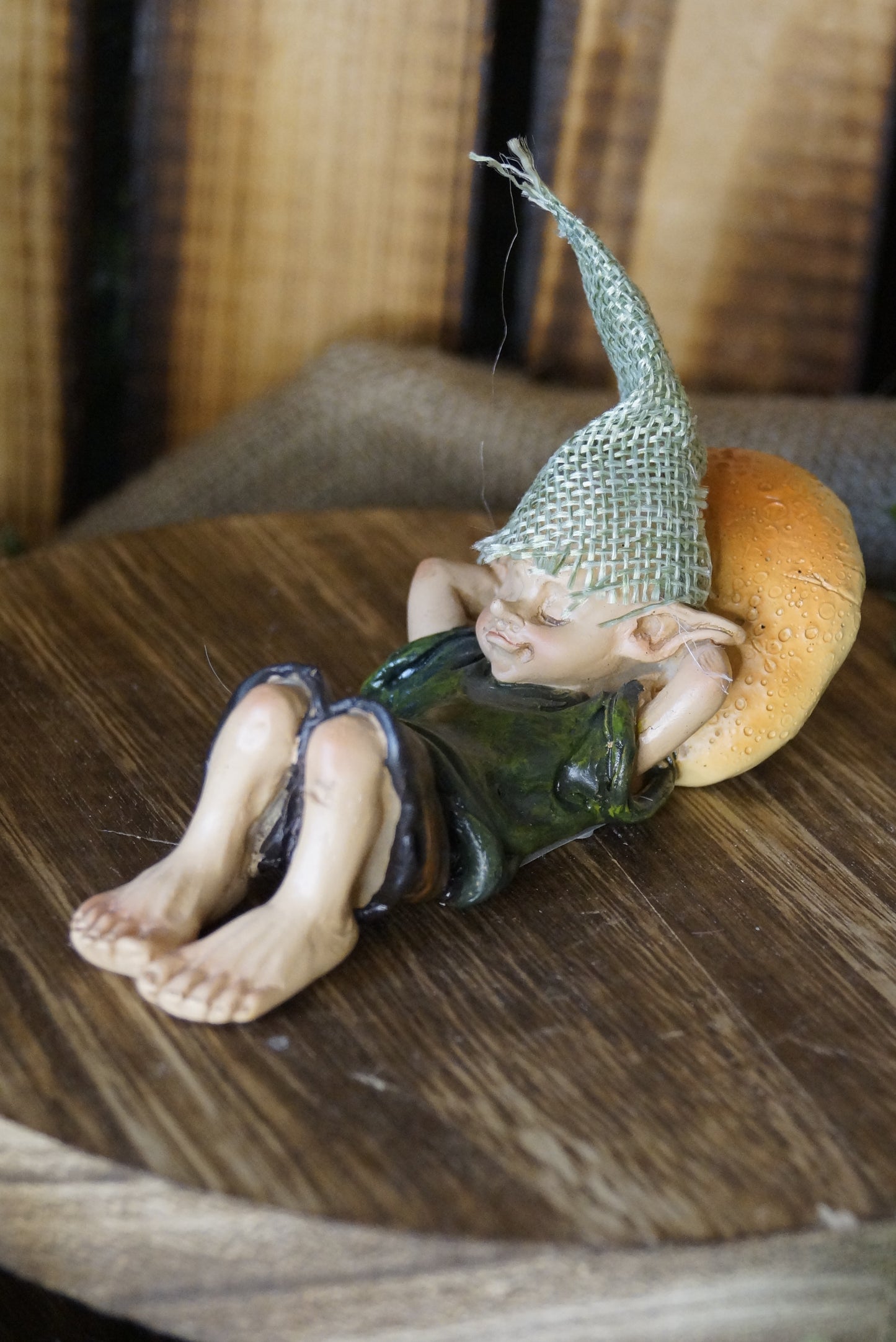 Pixie "Relax" schläft auf Pilz