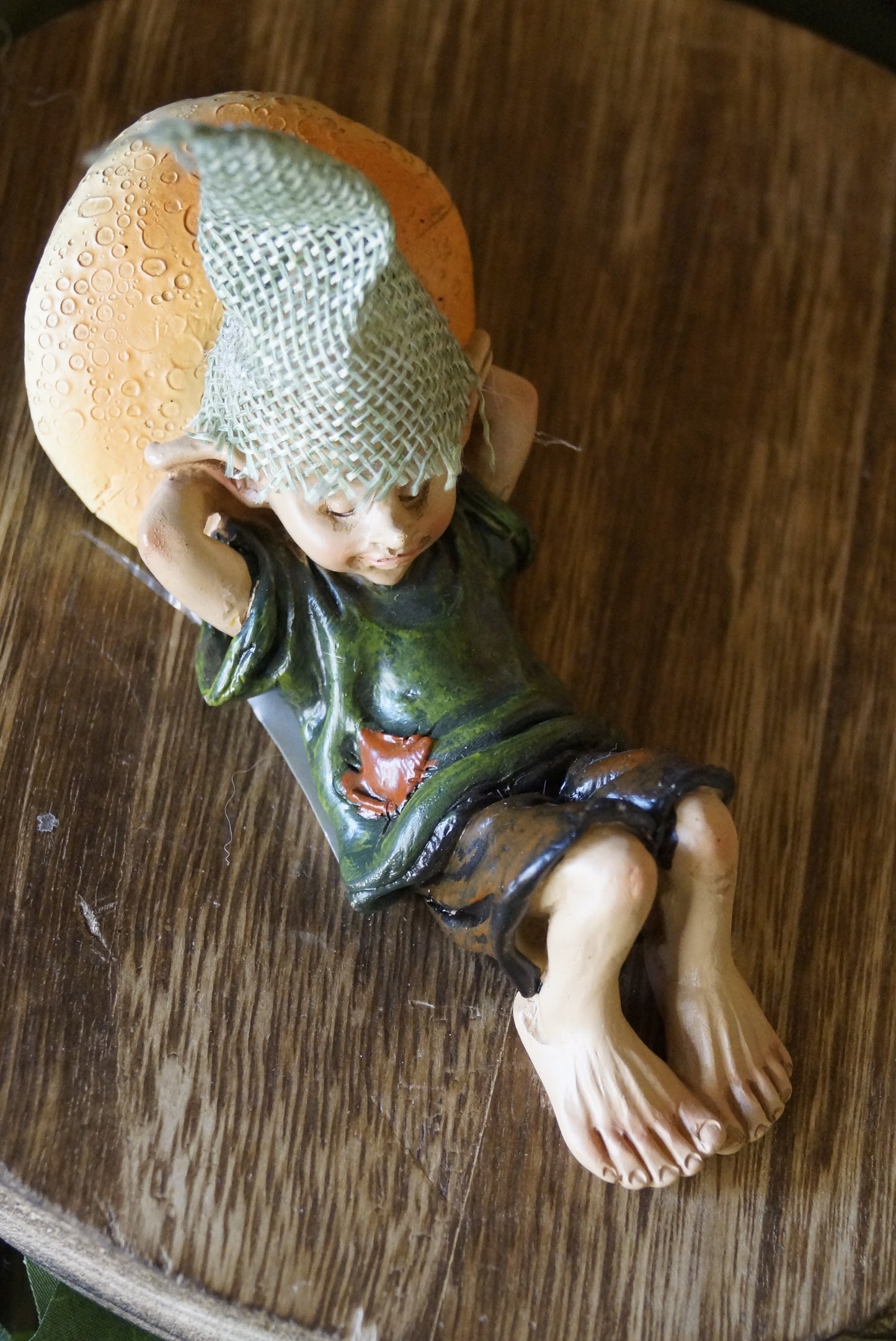 Pixie "Relax" schläft auf Pilz
