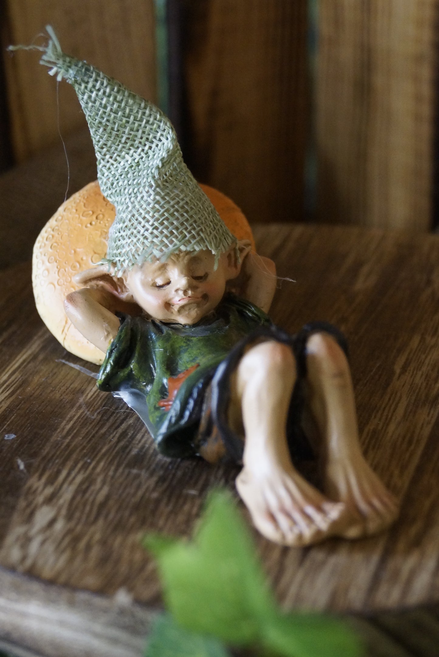 Pixie "Relax" schläft auf Pilz