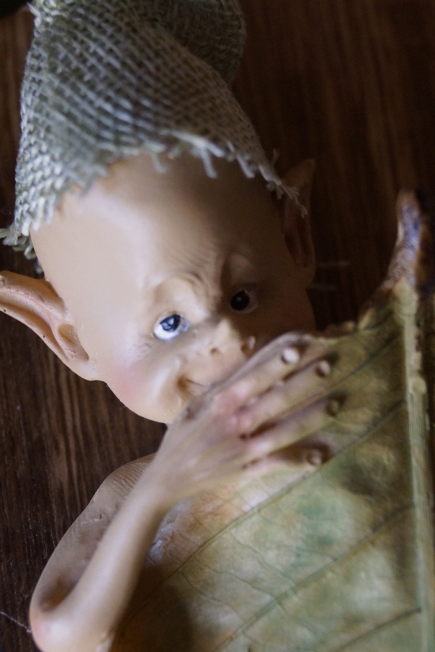 Pixie im Blattbett "Froschwecker"