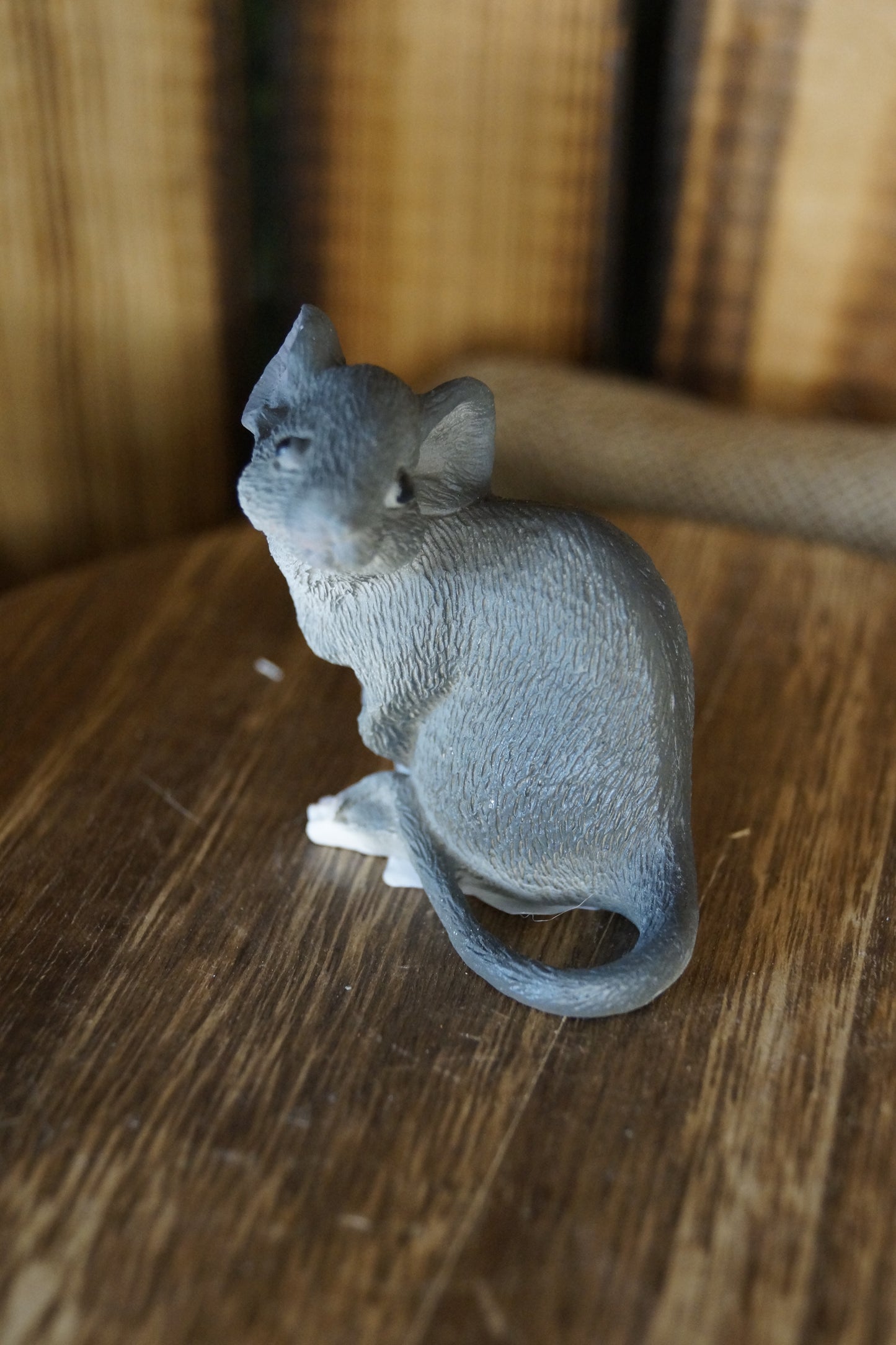 Graue Maus