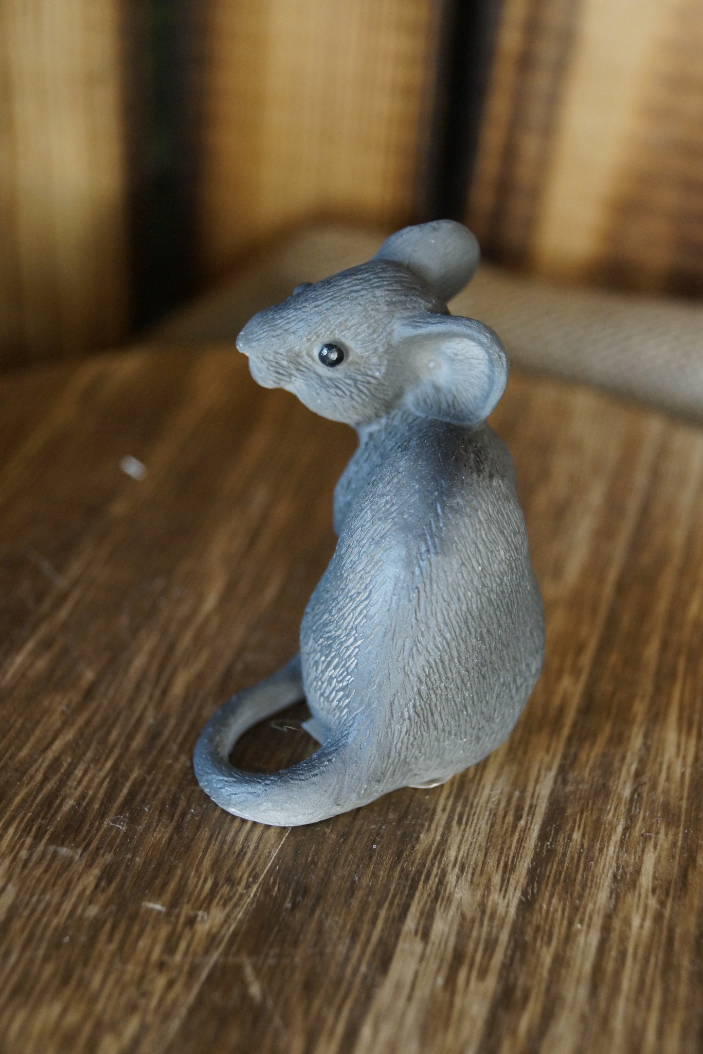 Graue Maus