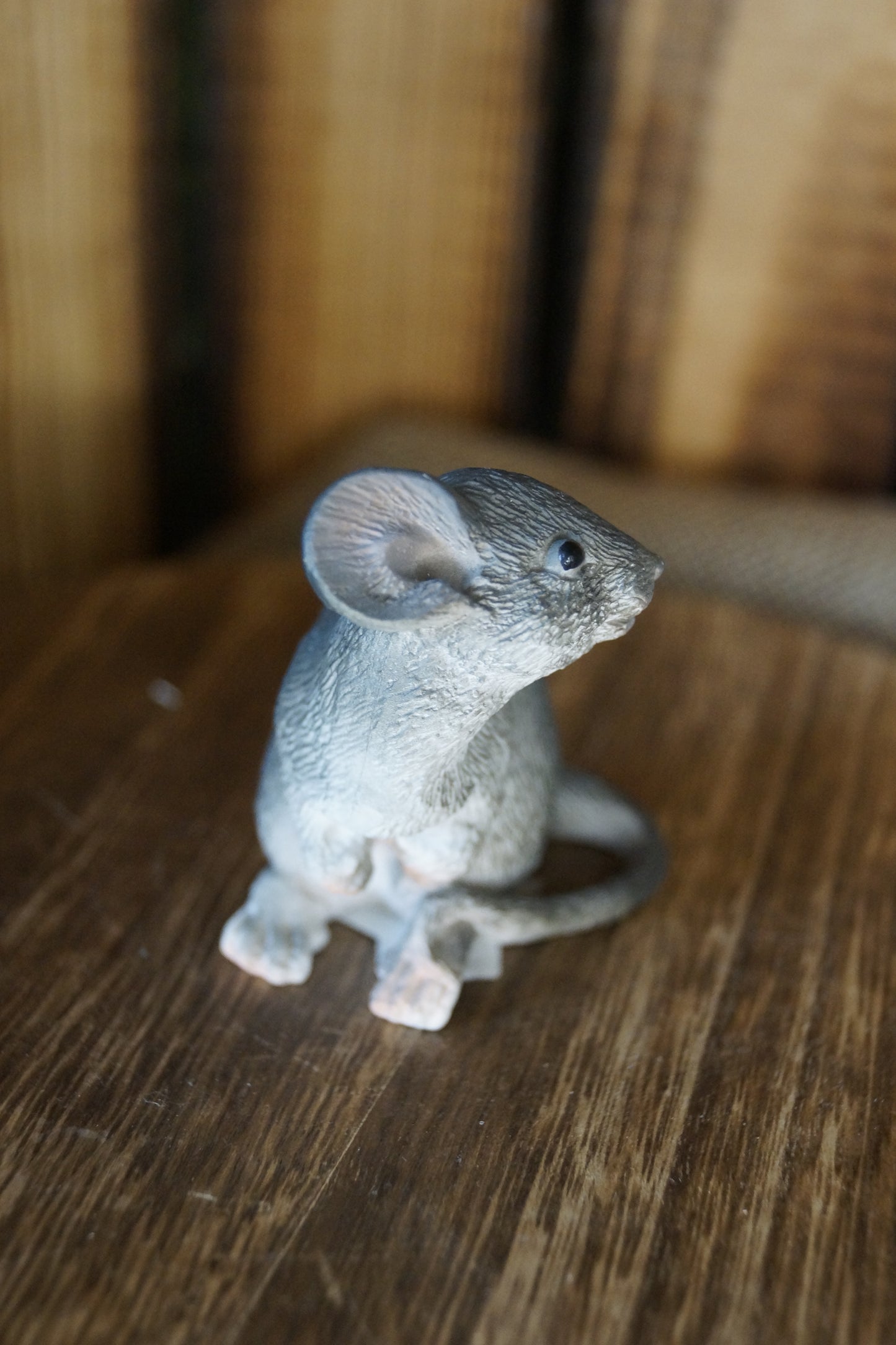 Graue Maus