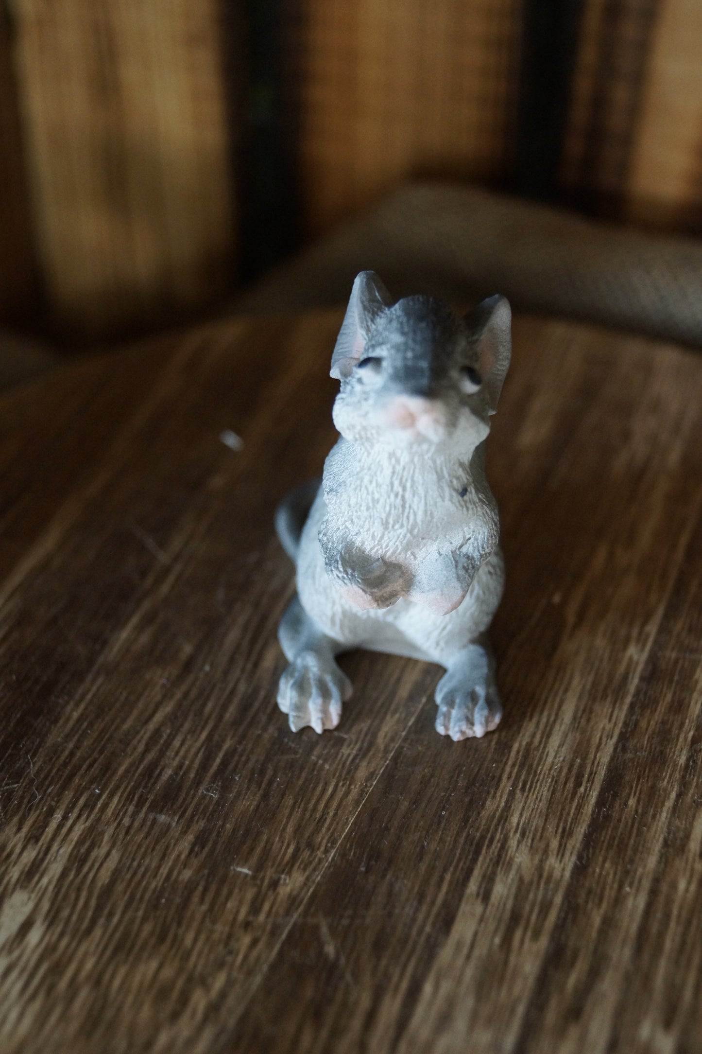Graue Maus