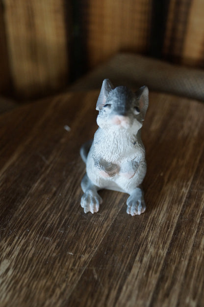 Graue Maus
