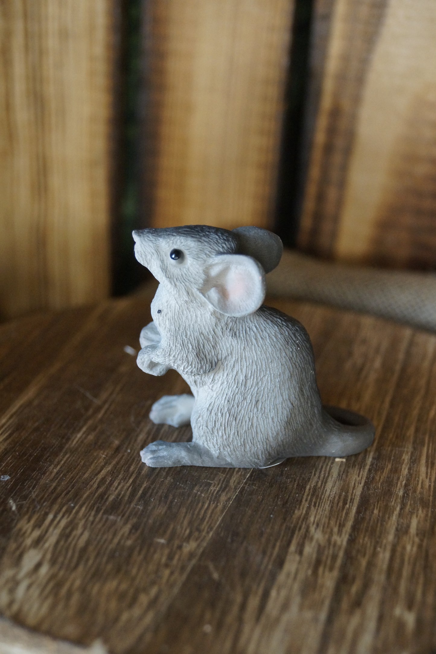 Graue Maus