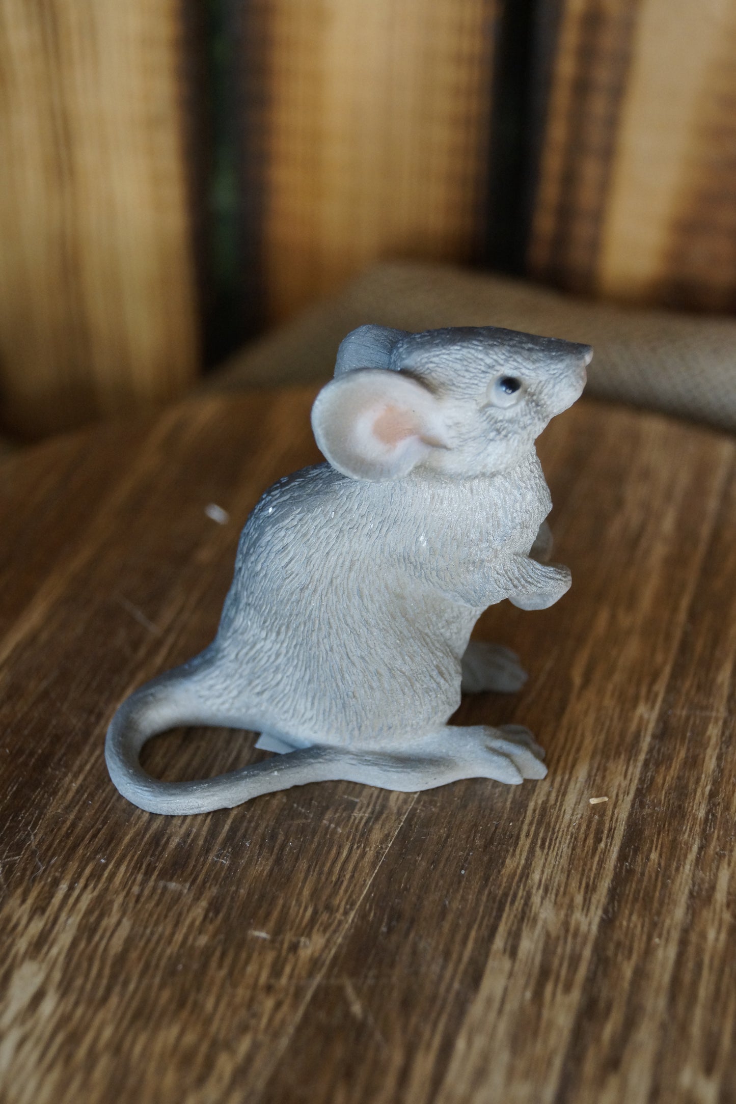 Graue Maus