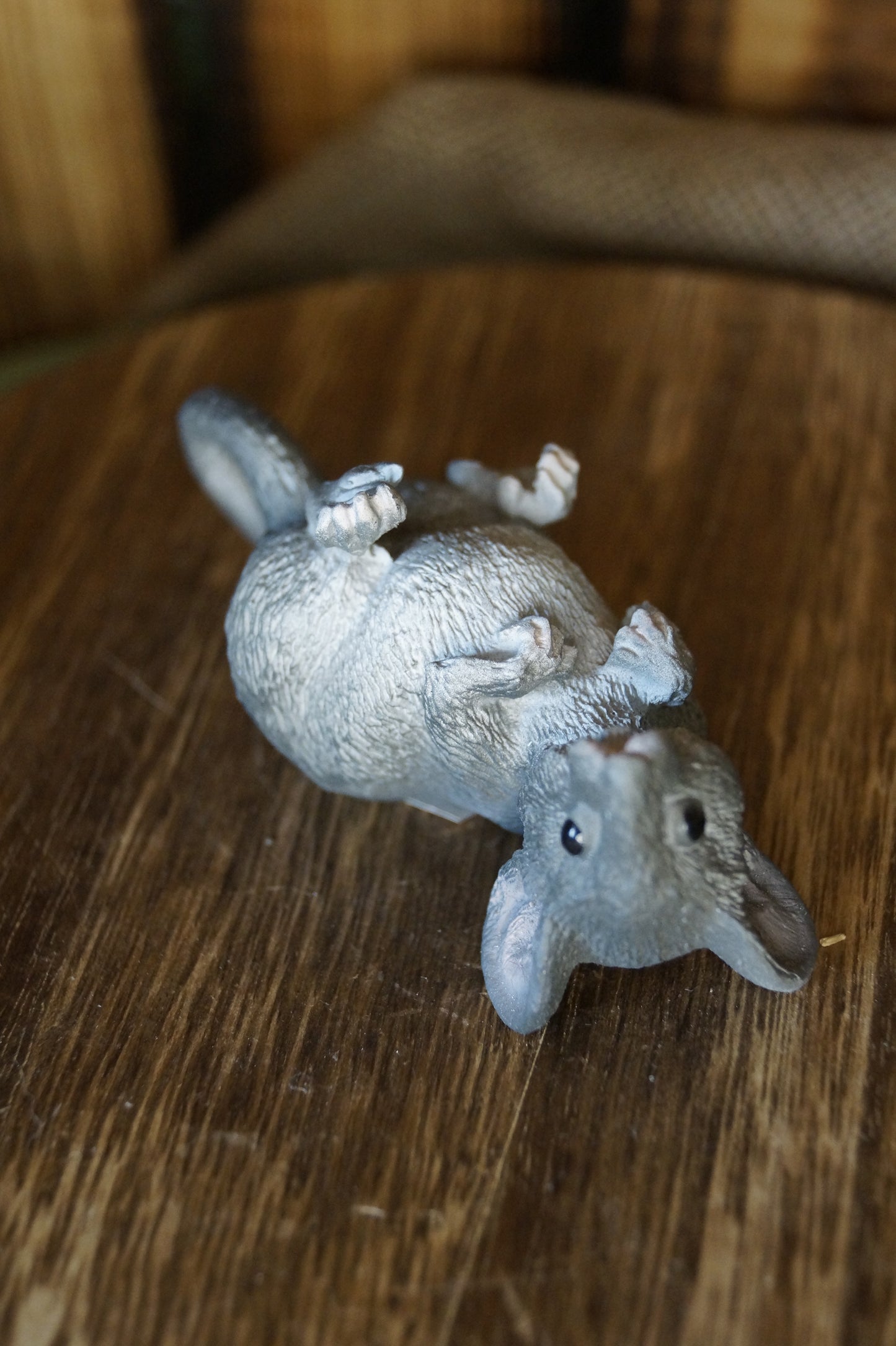 Graue Maus