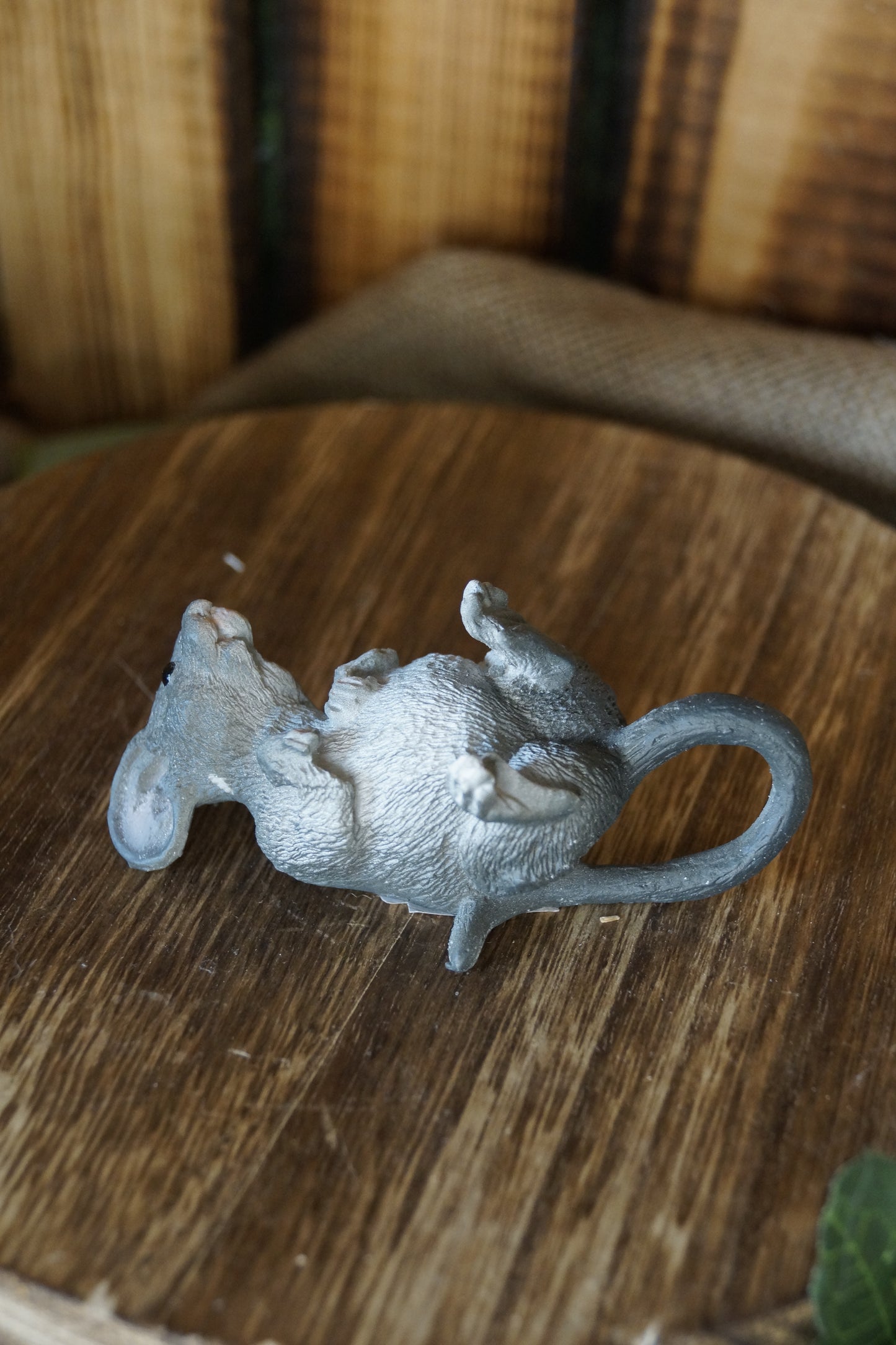 Graue Maus