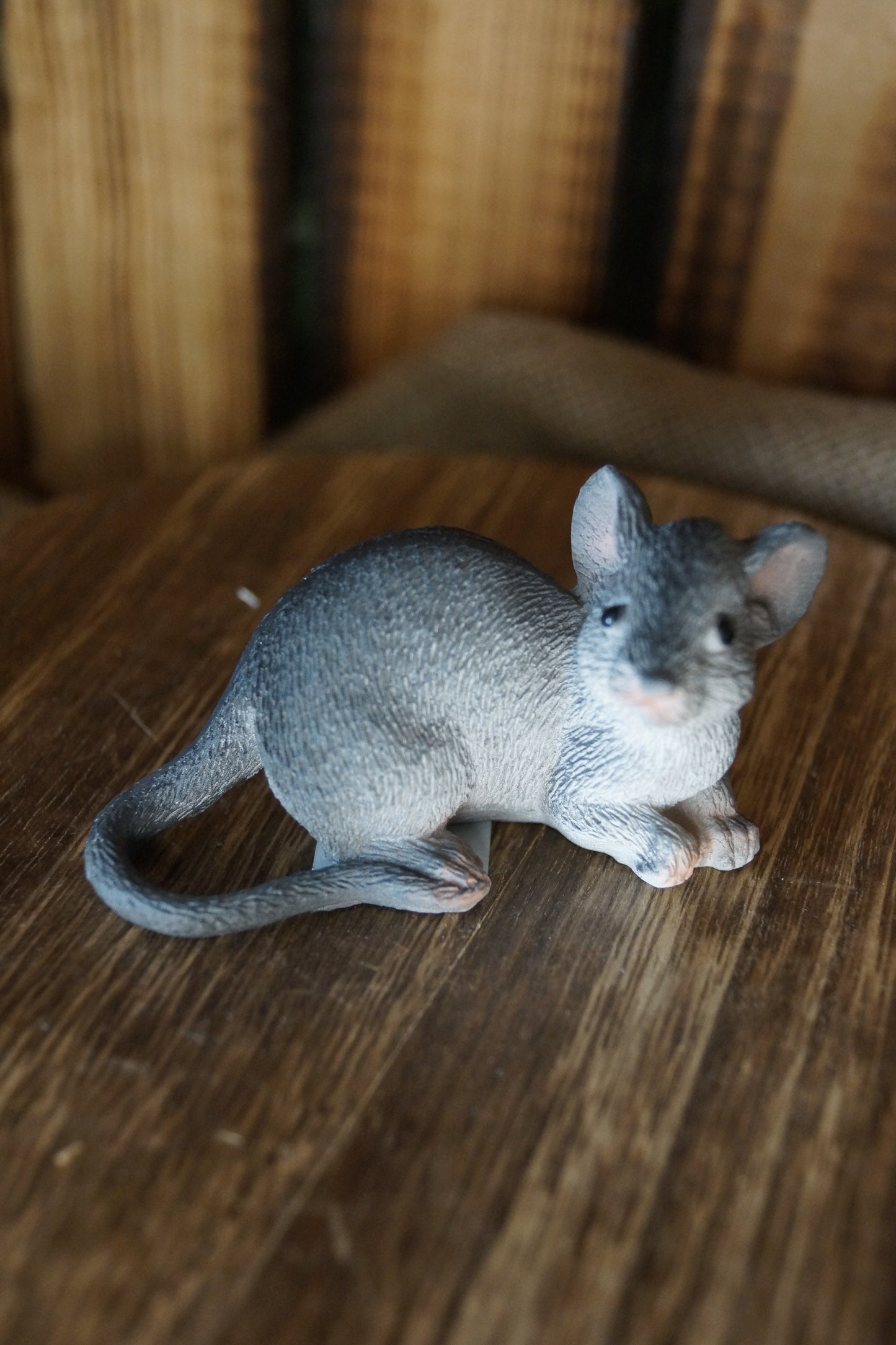 Graue Maus