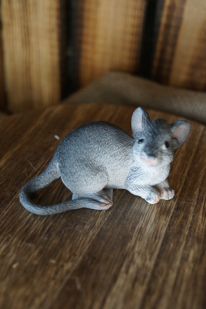 Graue Maus