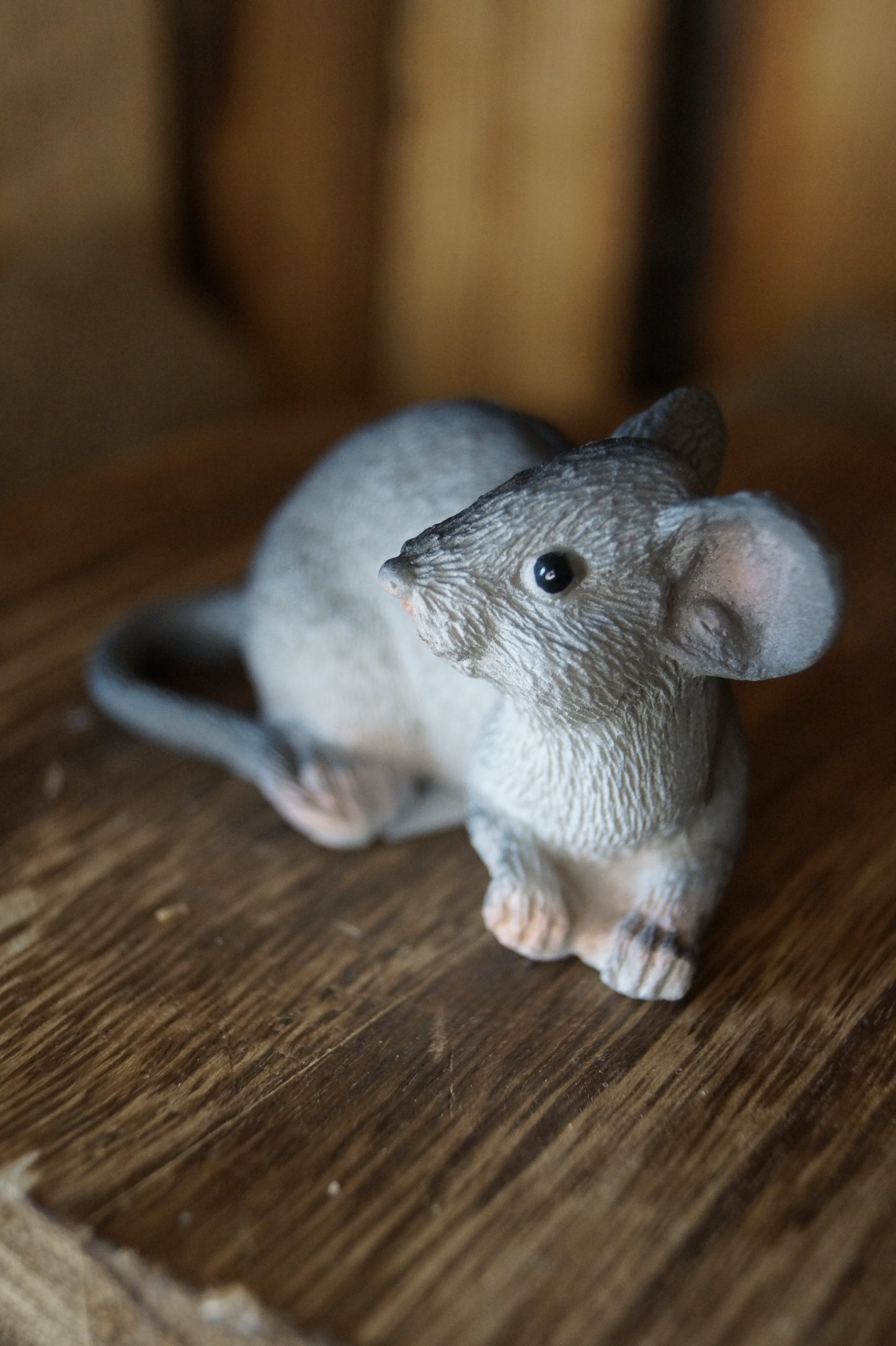 Graue Maus