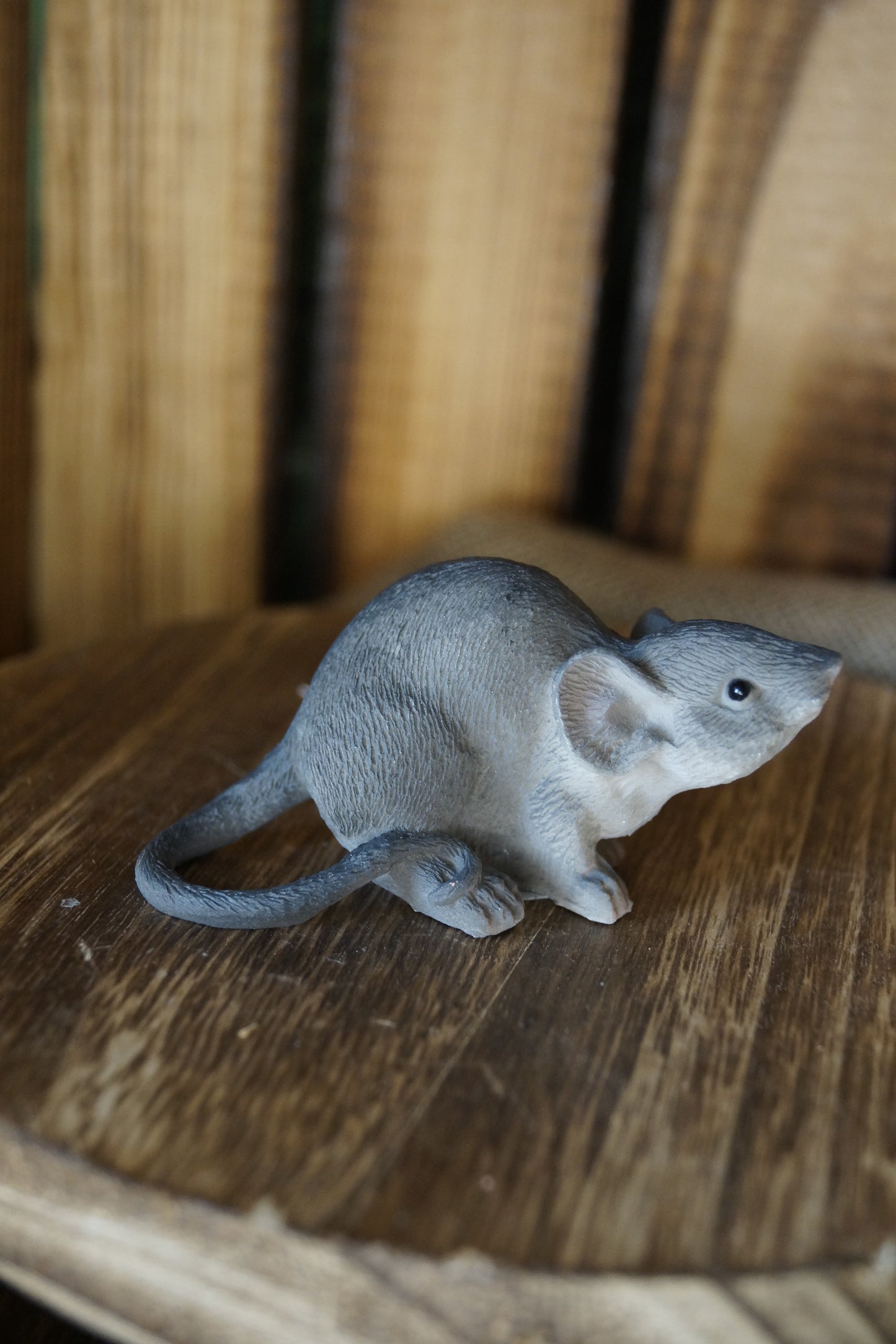 Graue Maus