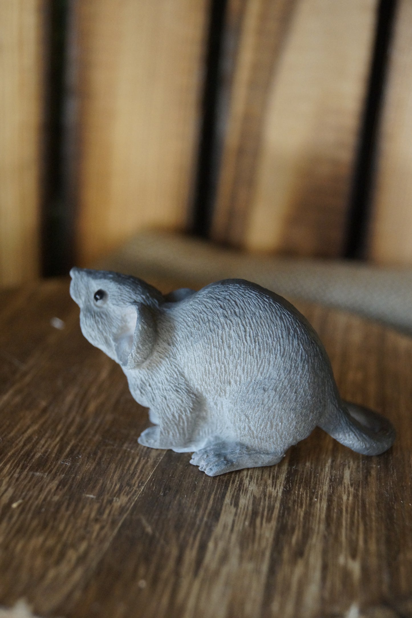 Graue Maus