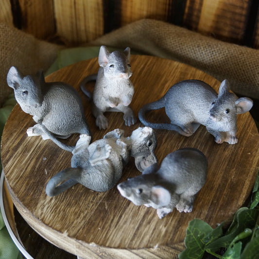 Graue Maus
