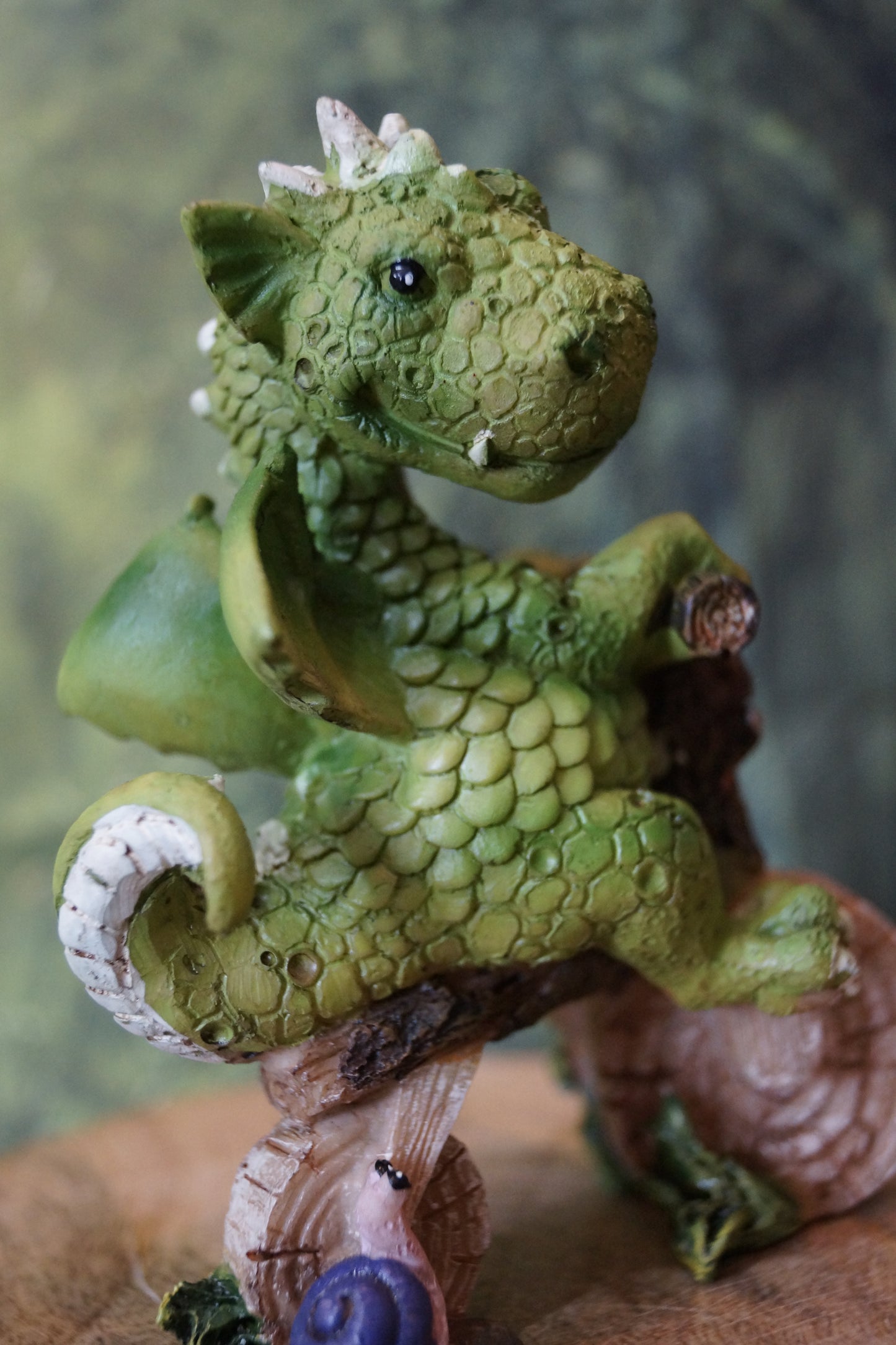 "Lust auf ein Rennen?" Kleiner Drache auf "Motorrad" mit Schnecke