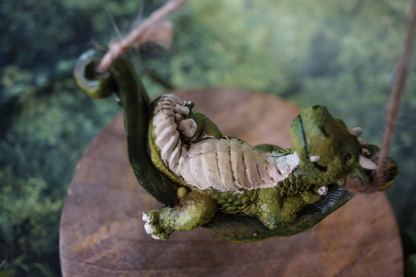 Kleiner Drachen in der Hängematte