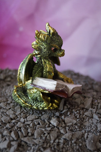 Babydrache liest ein Buch