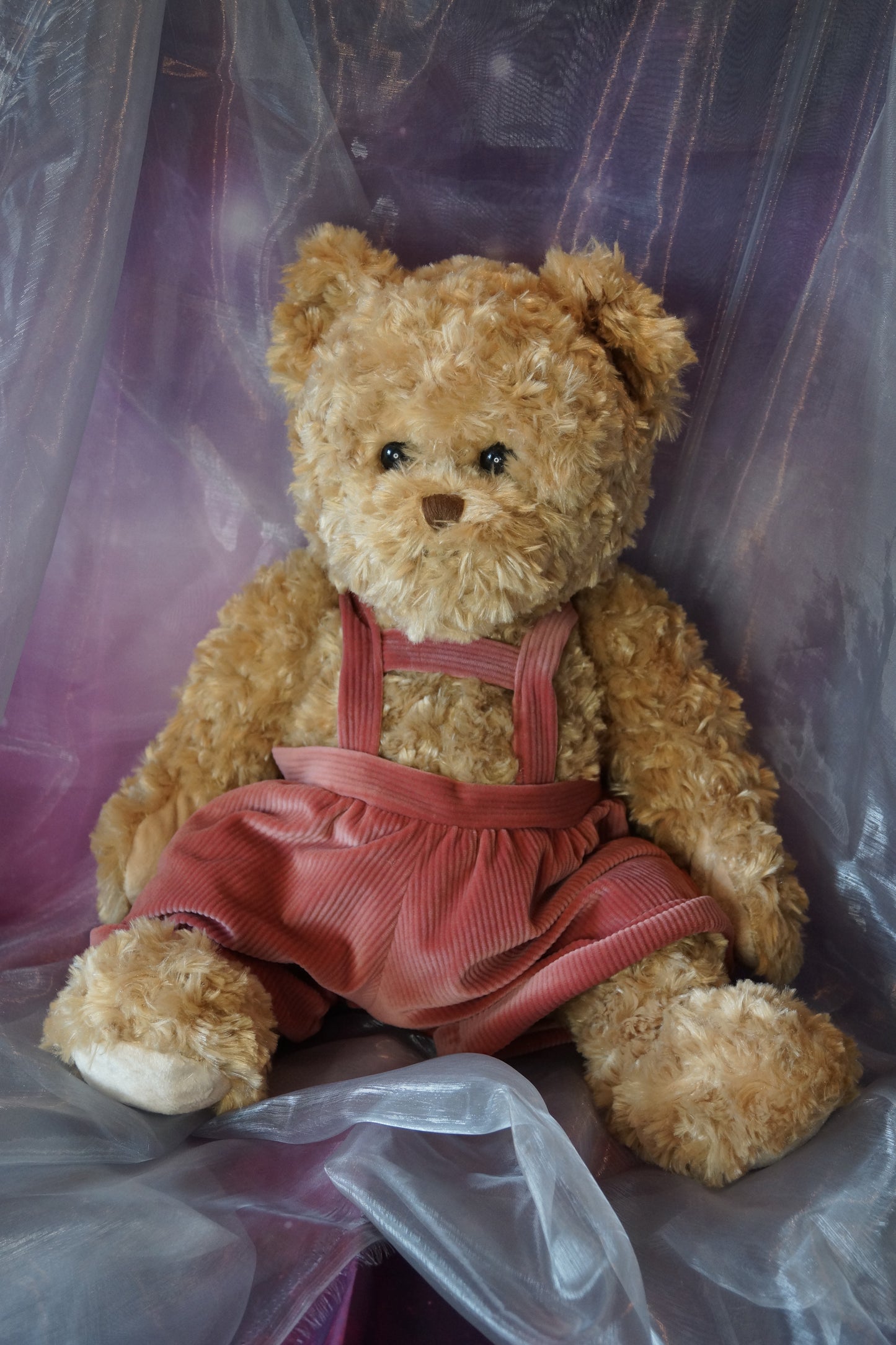 Klassischer Teddy Meverick LTD Edition