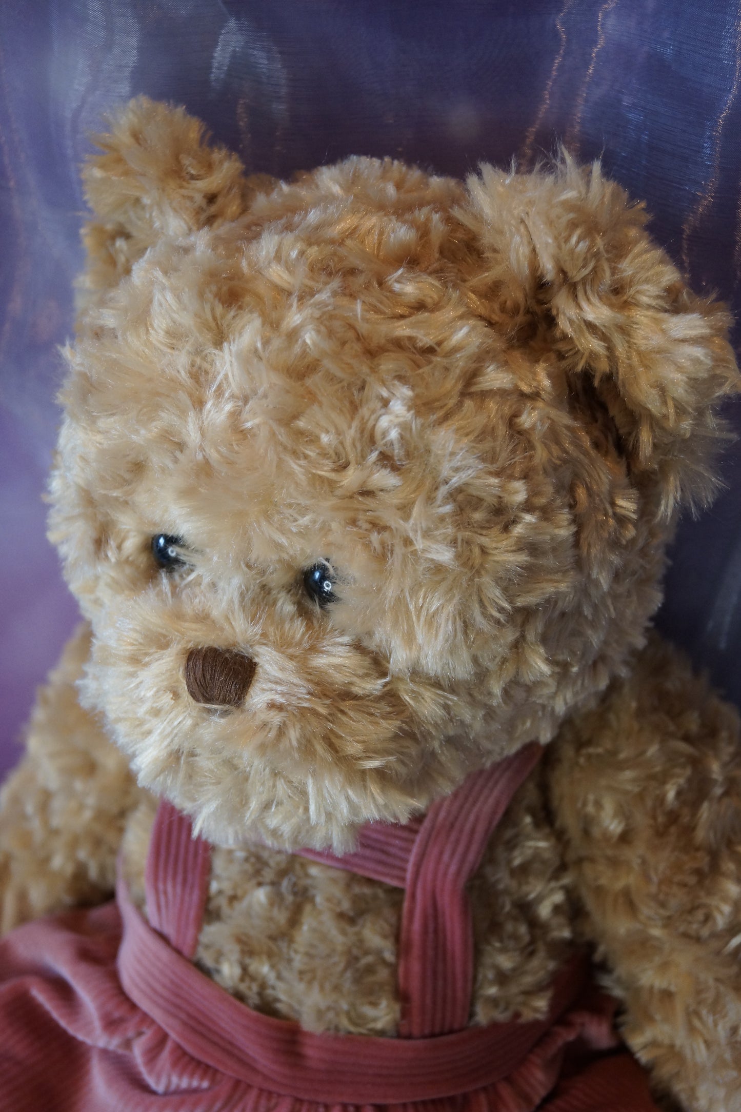 Klassischer Teddy Meverick LTD Edition