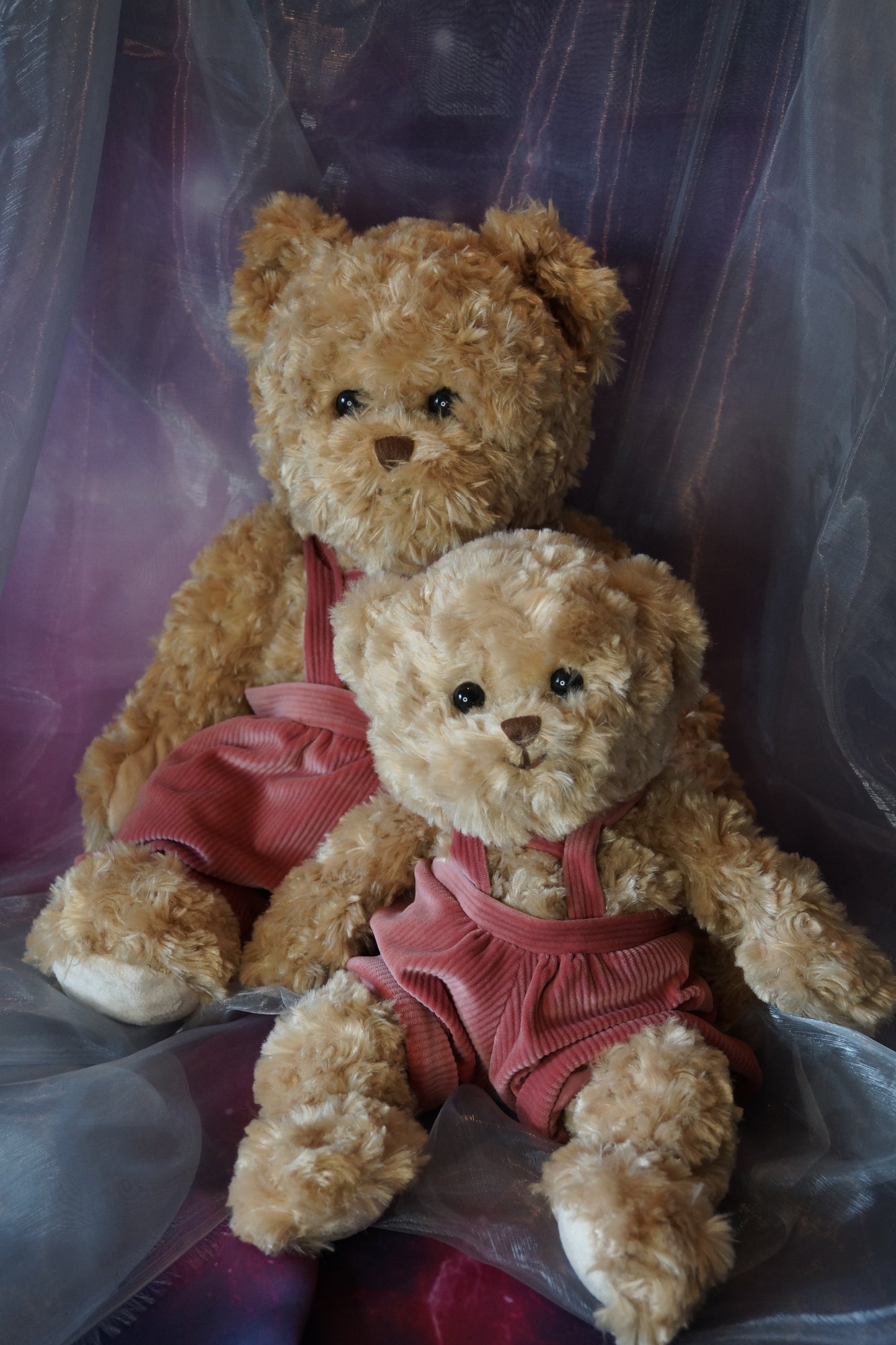 Klassischer Teddy Frans