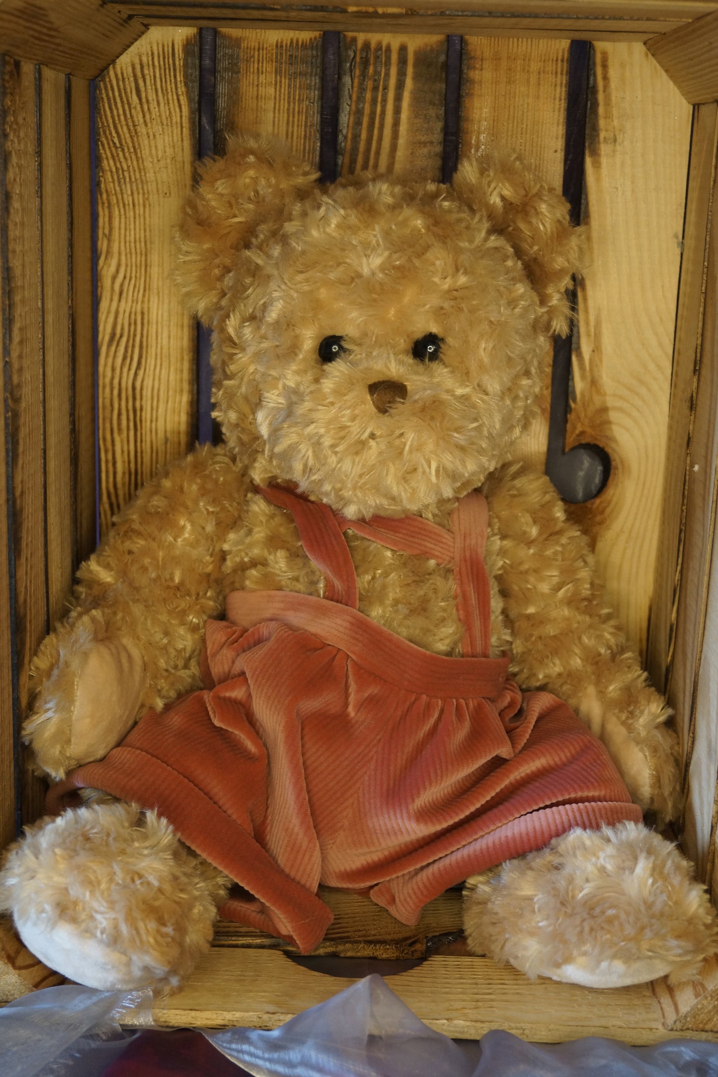 Klassischer Teddy Meverick LTD Edition