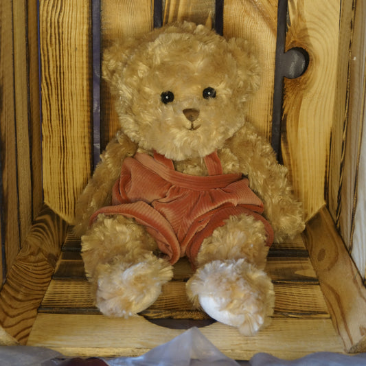 Klassischer Teddy Frans