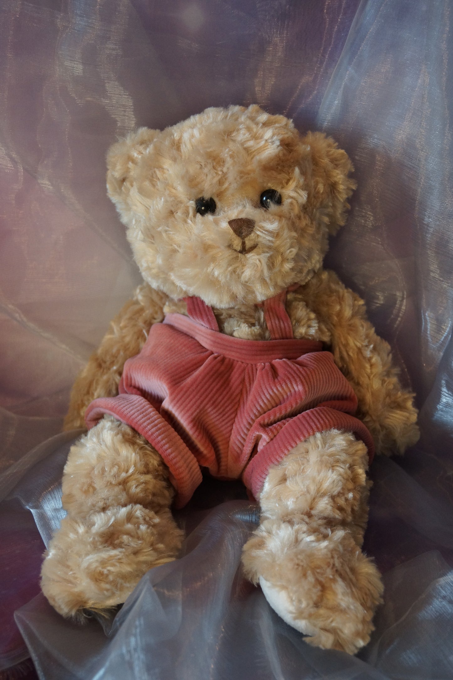 Klassischer Teddy Frans