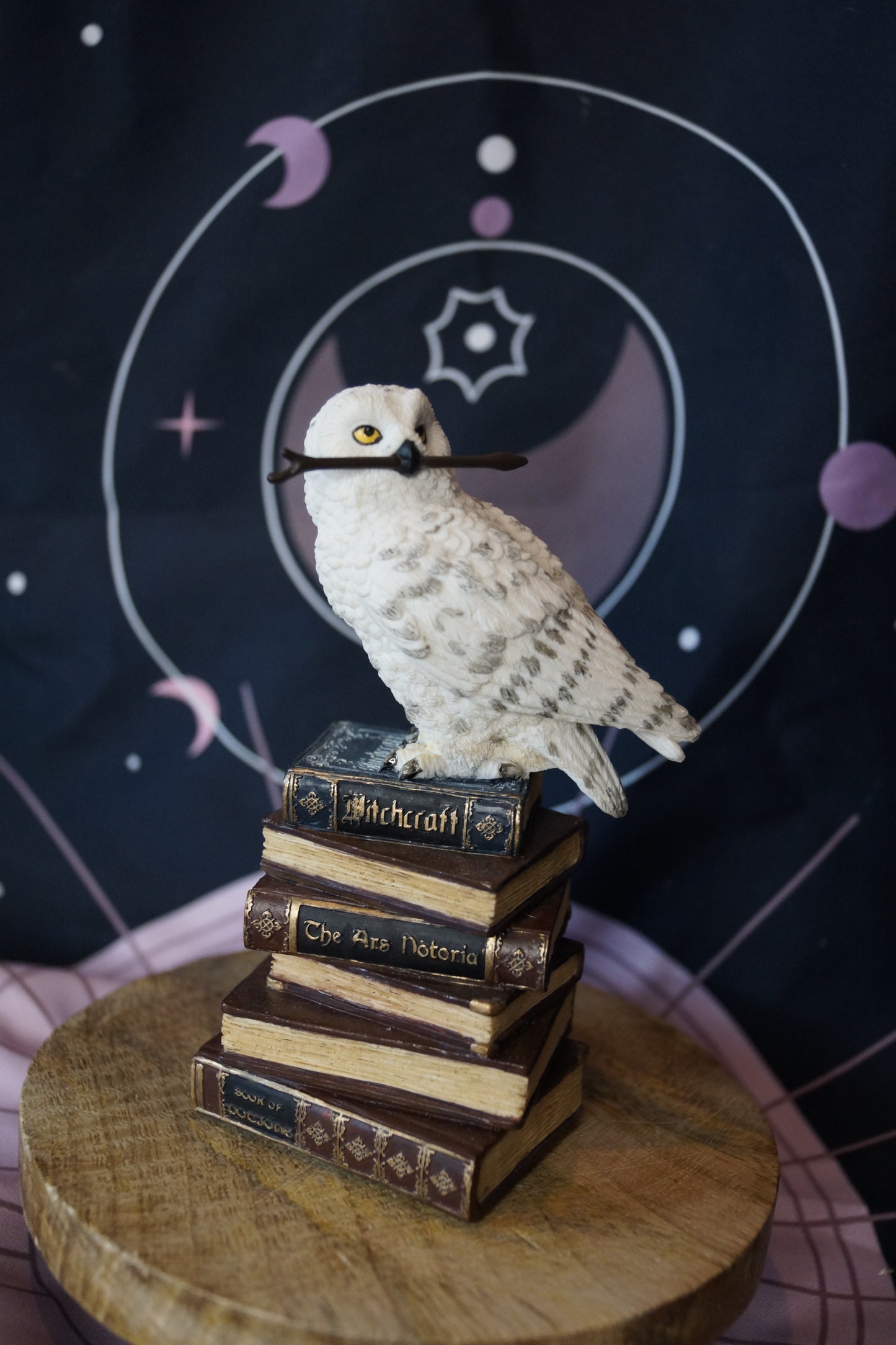 Veronese Schneeeule mit Zauberstab auf Büchern