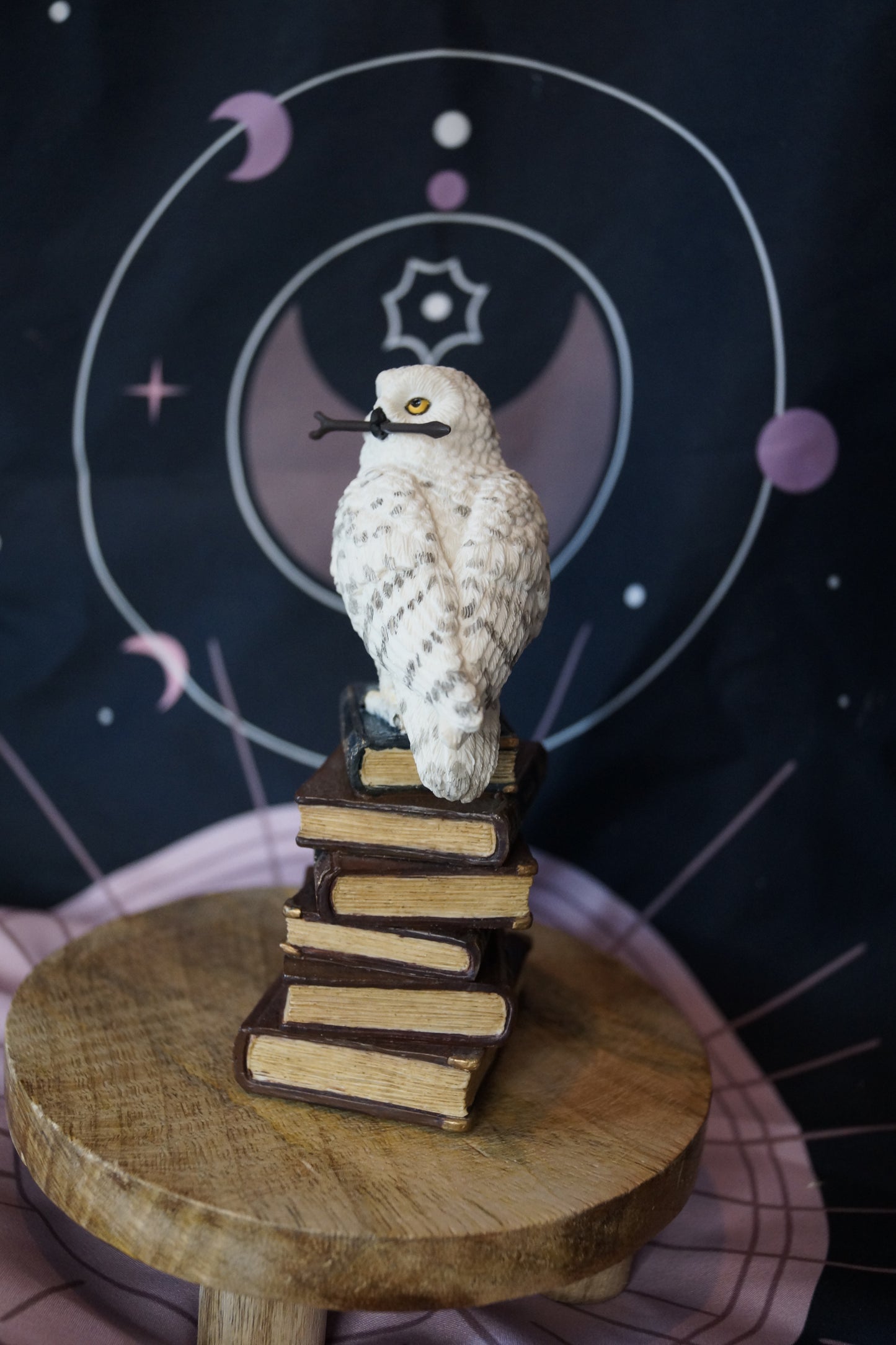 Veronese Schneeeule mit Zauberstab auf Büchern