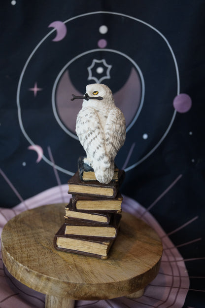 Veronese Schneeeule mit Zauberstab auf Büchern