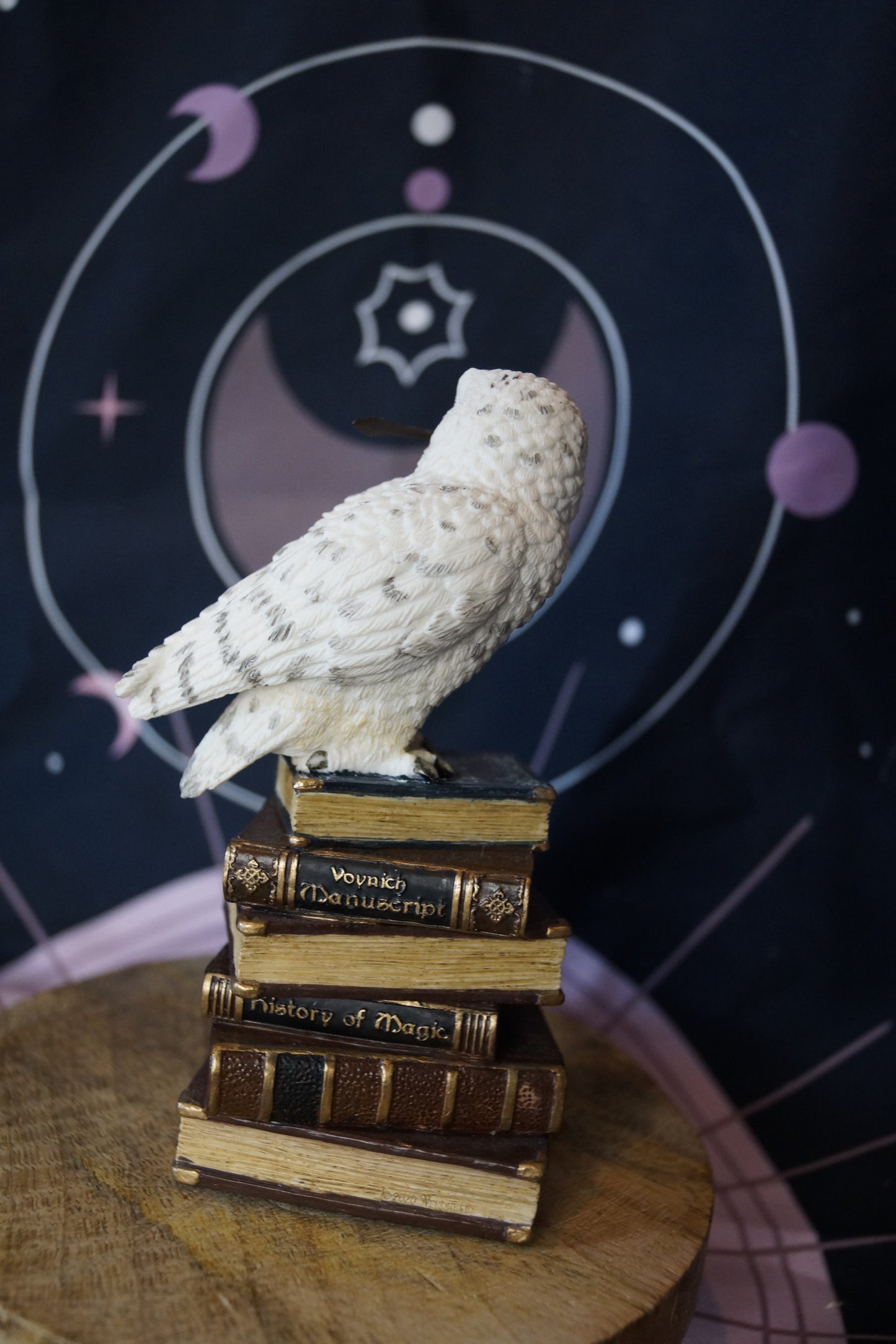 Veronese Schneeeule mit Zauberstab auf Büchern