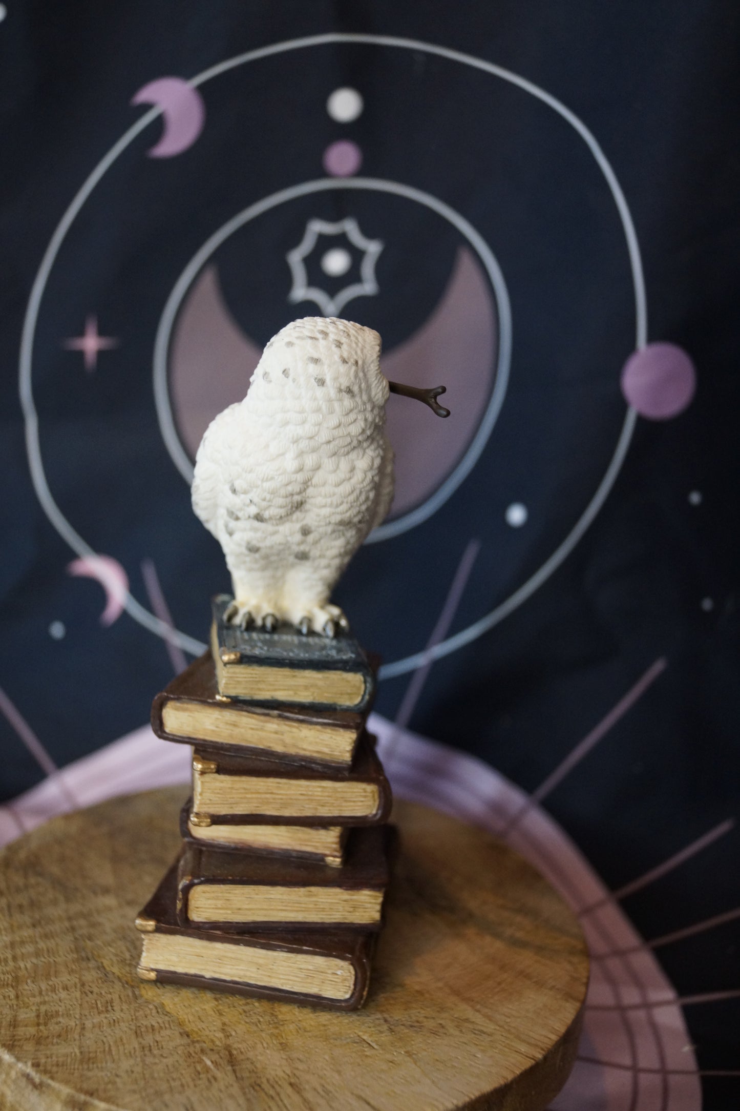 Veronese Schneeeule mit Zauberstab auf Büchern