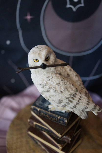 Veronese Schneeeule mit Zauberstab auf Büchern