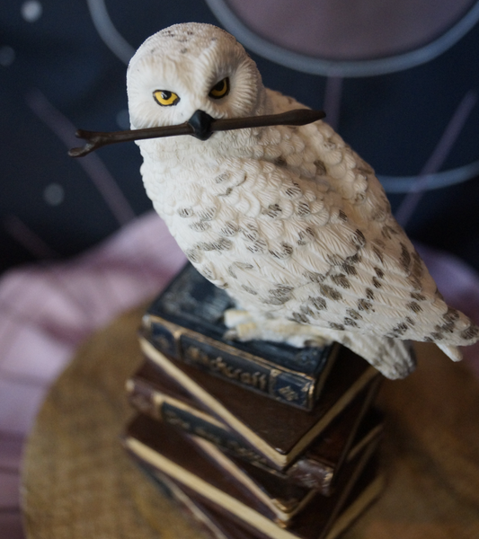 Veronese Schneeeule mit Zauberstab auf Büchern