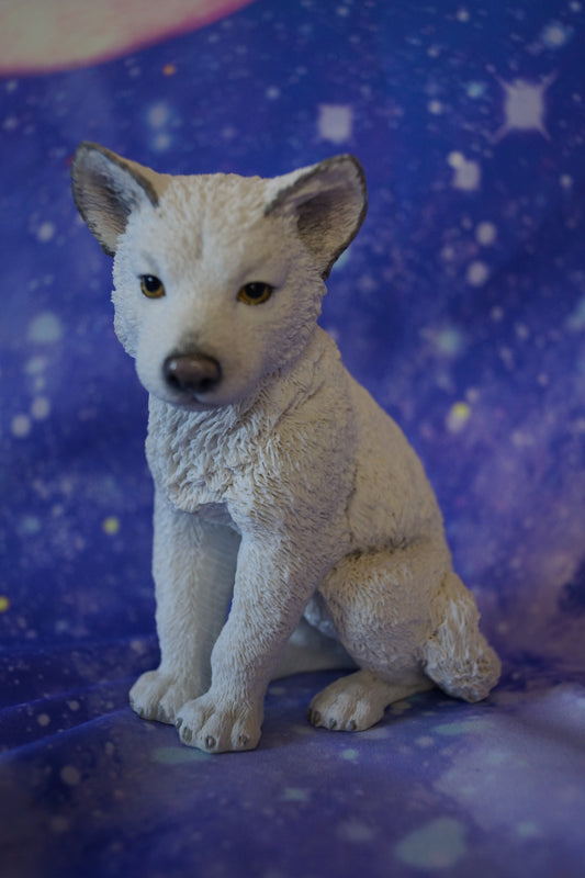 Polarwolf Welpe sitzend