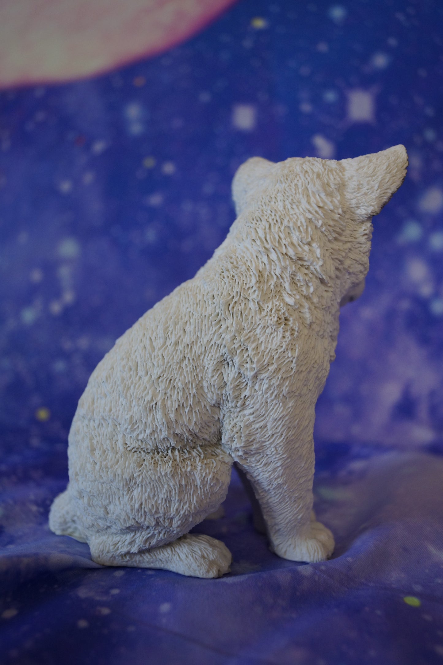 Polarwolf Welpe sitzend