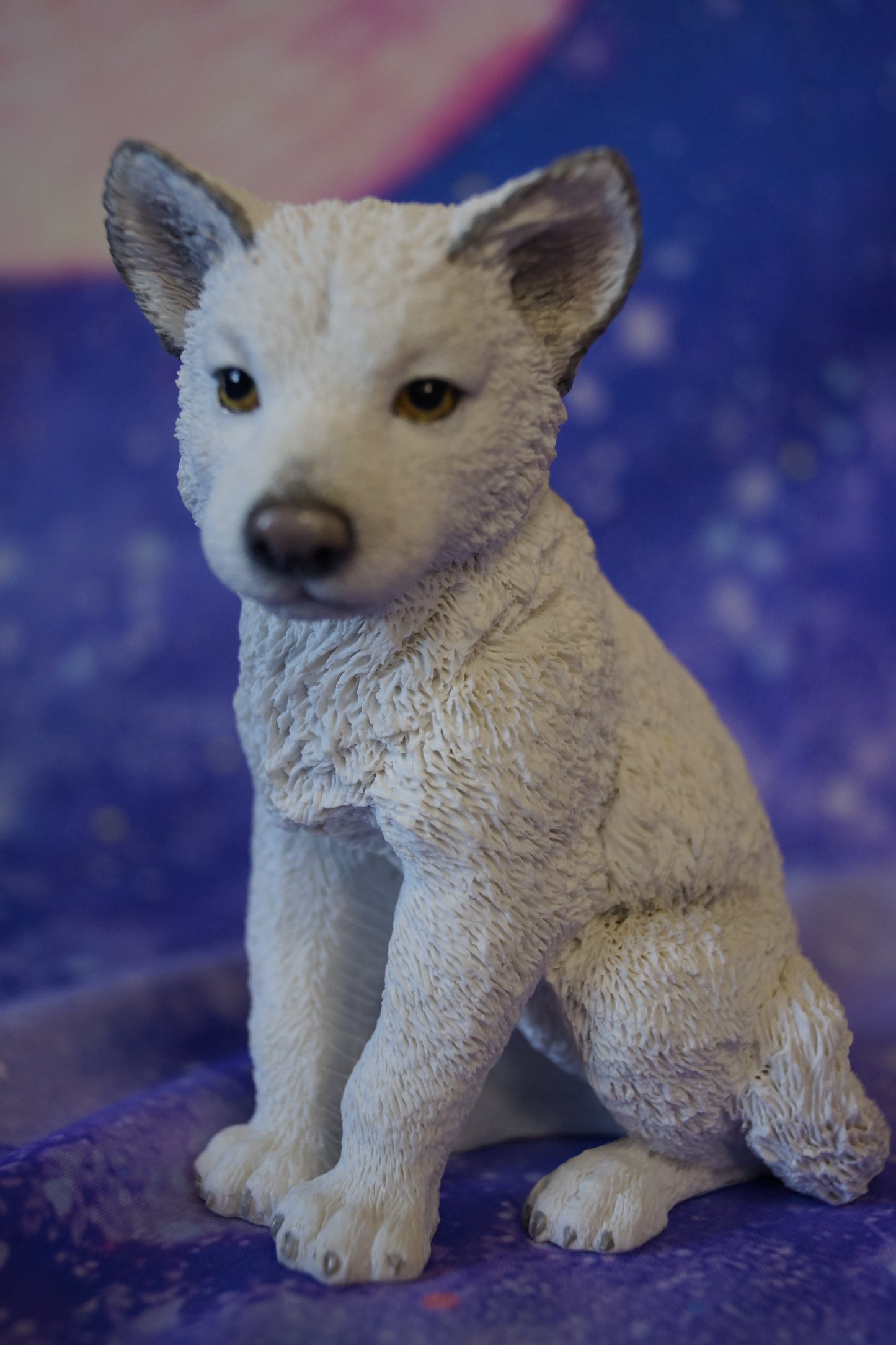 Polarwolf Welpe sitzend
